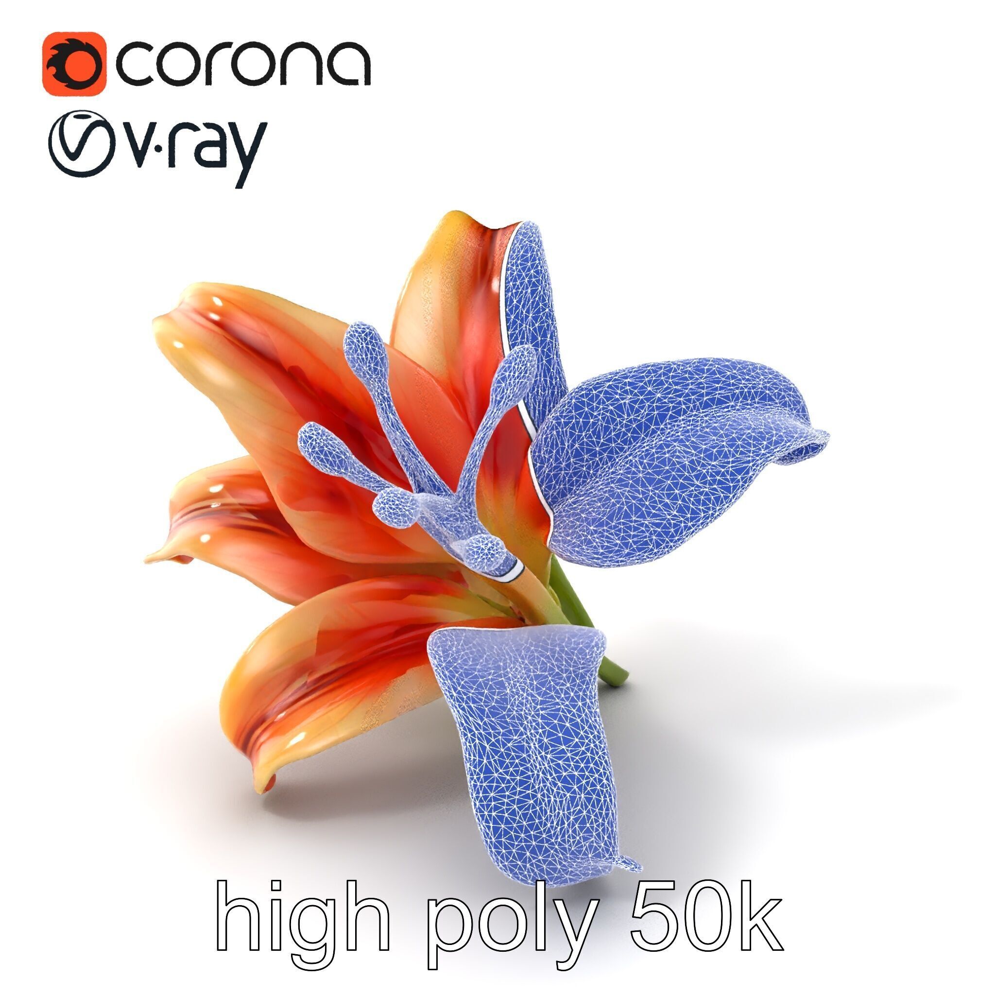 Lily Flower with Detailed Petals Model Pack Low-poly 3D model_10