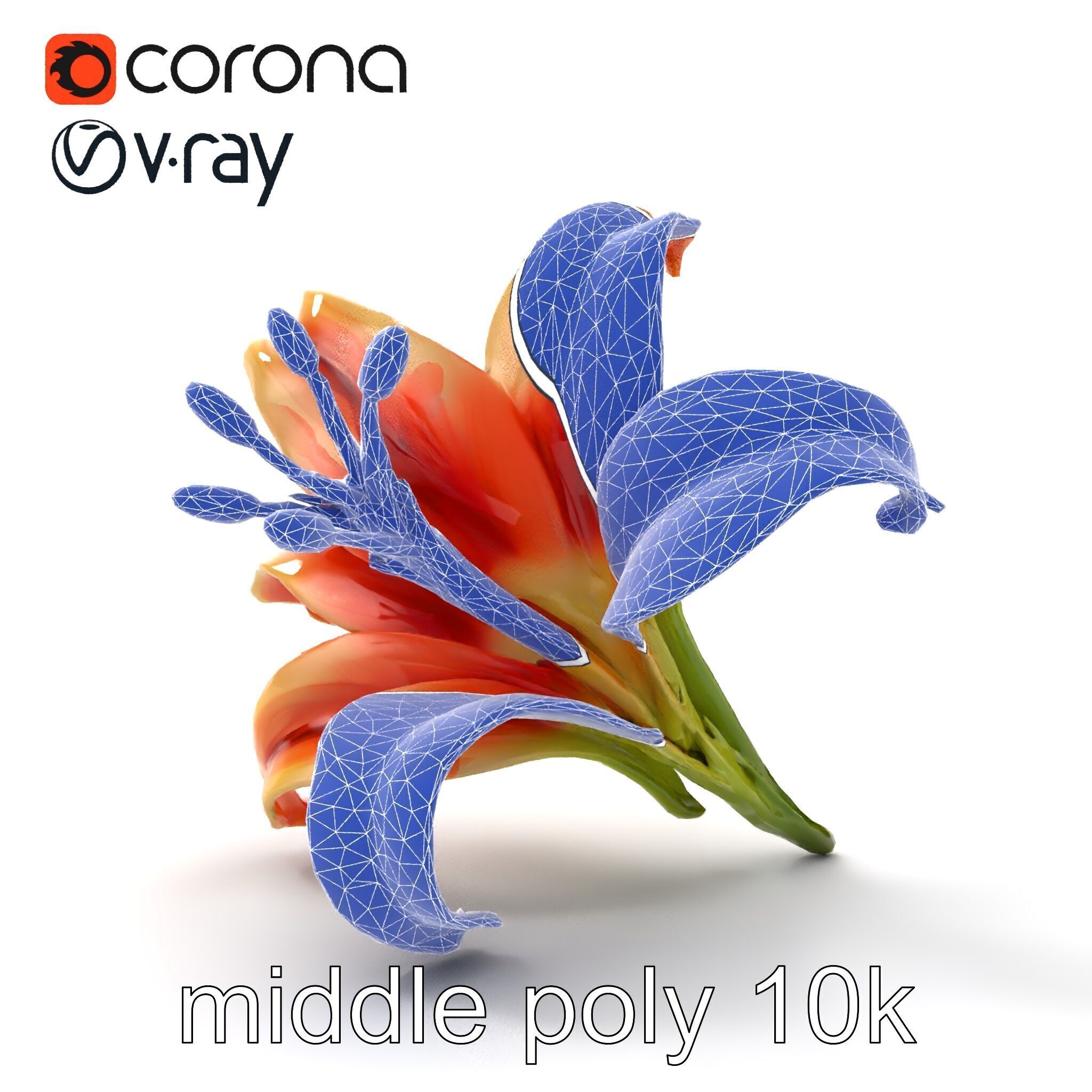 Lily Flower with Detailed Petals Model Pack Low-poly 3D model_21