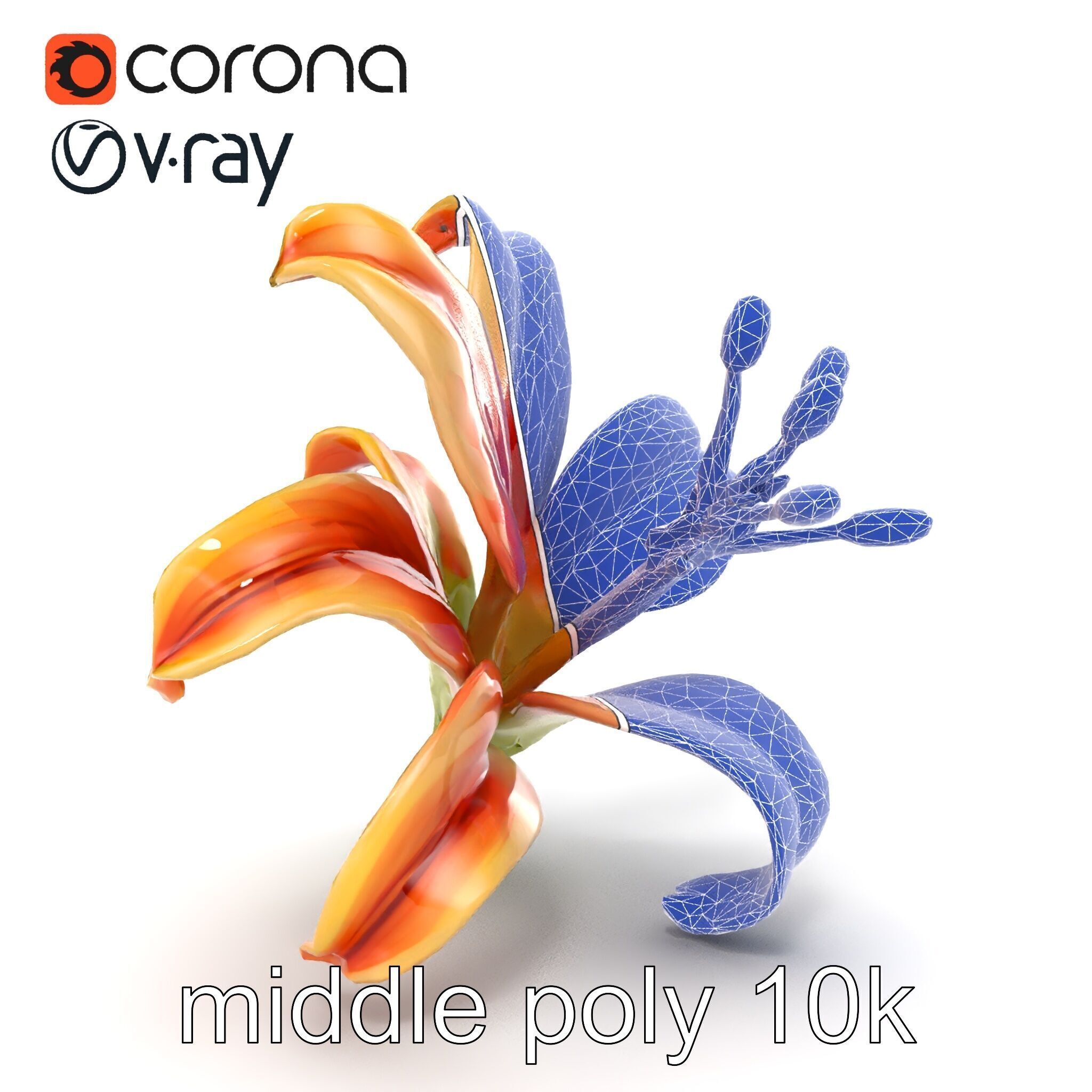 Lily Flower with Detailed Petals Model Pack Low-poly 3D model_13