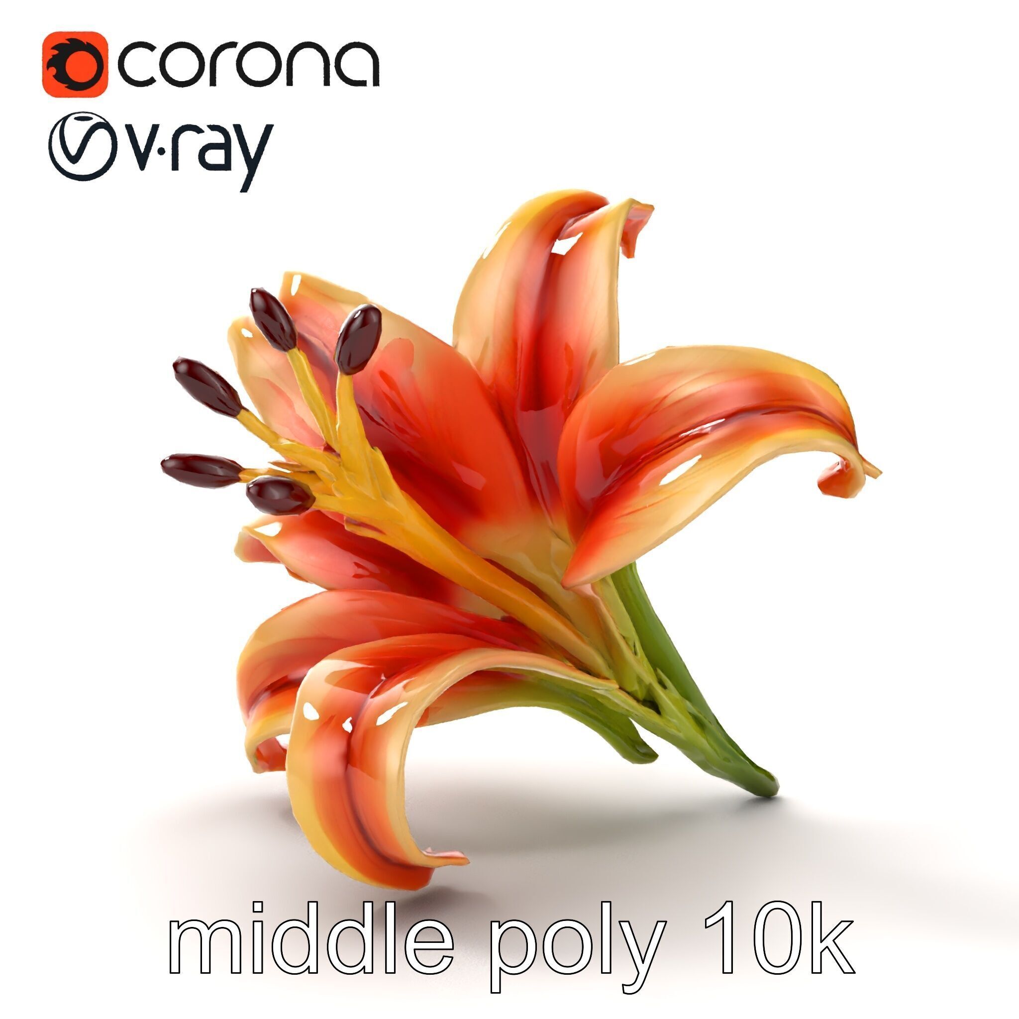 Lily Flower with Detailed Petals Model Pack Low-poly 3D model_29