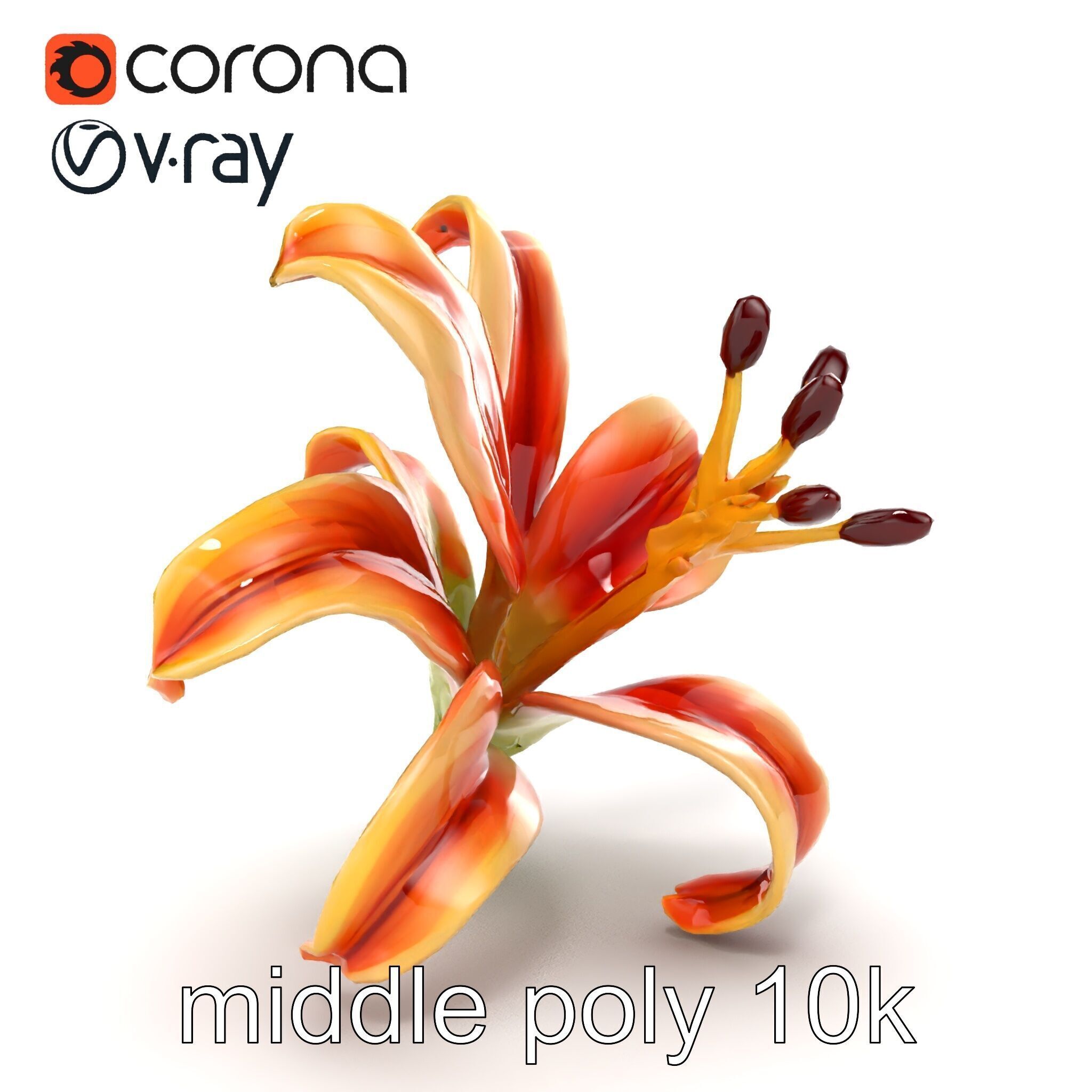 Lily Flower with Detailed Petals Model Pack Low-poly 3D model_22
