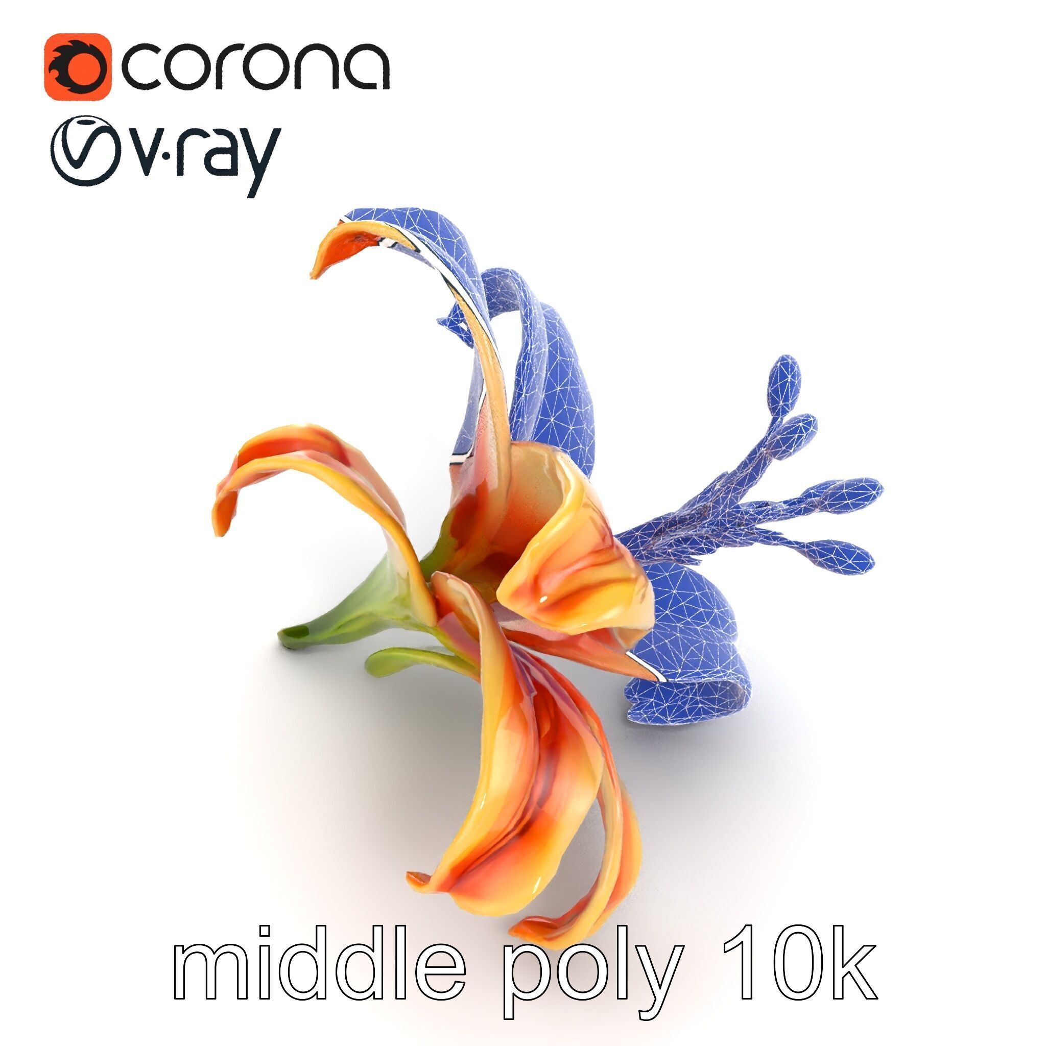 Lily Flower with Detailed Petals Model Pack Low-poly 3D model_18