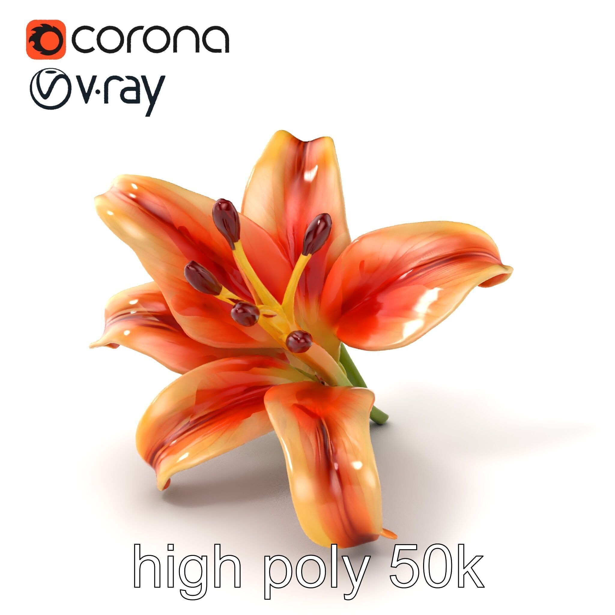 Lily Flower with Detailed Petals Model Pack Low-poly 3D model_2