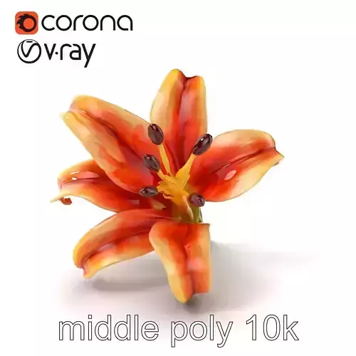 Lily Flower with Detailed Petals Model Pack