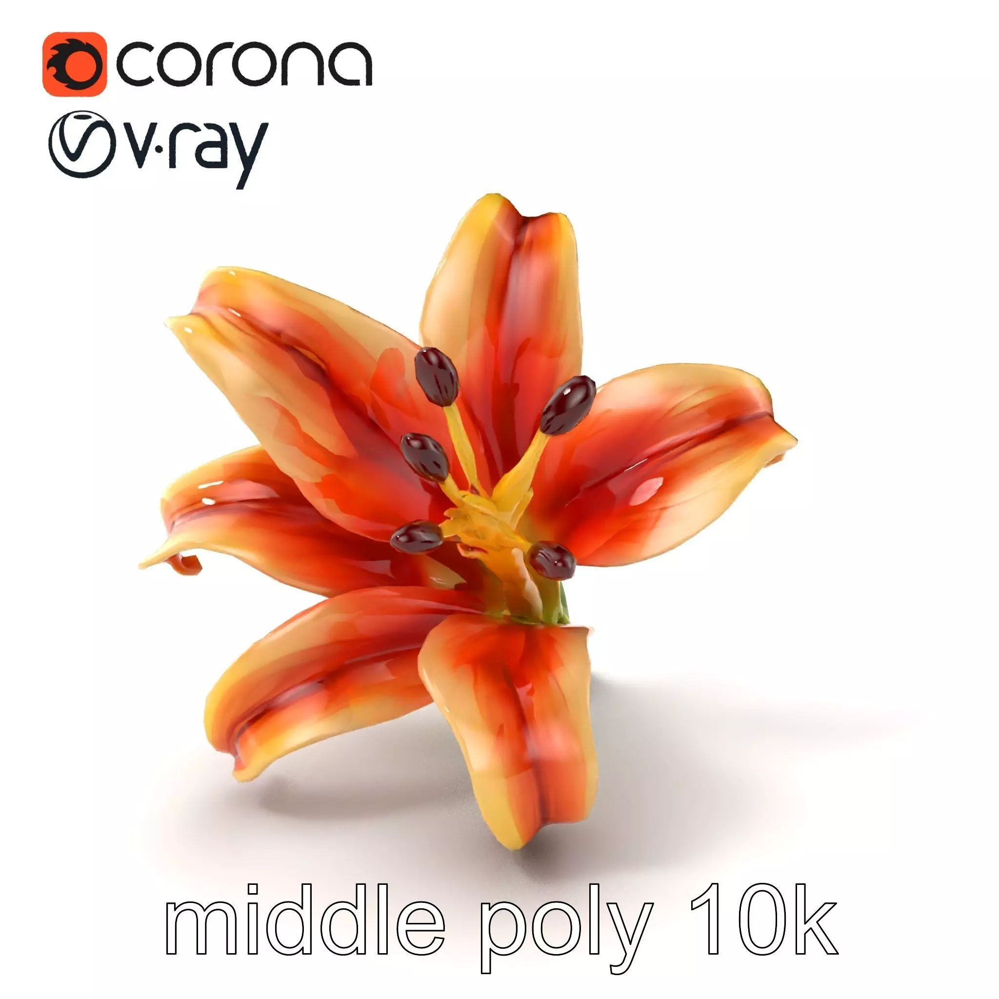 Lily Flower with Detailed Petals Model Pack Low-poly 3D model_0