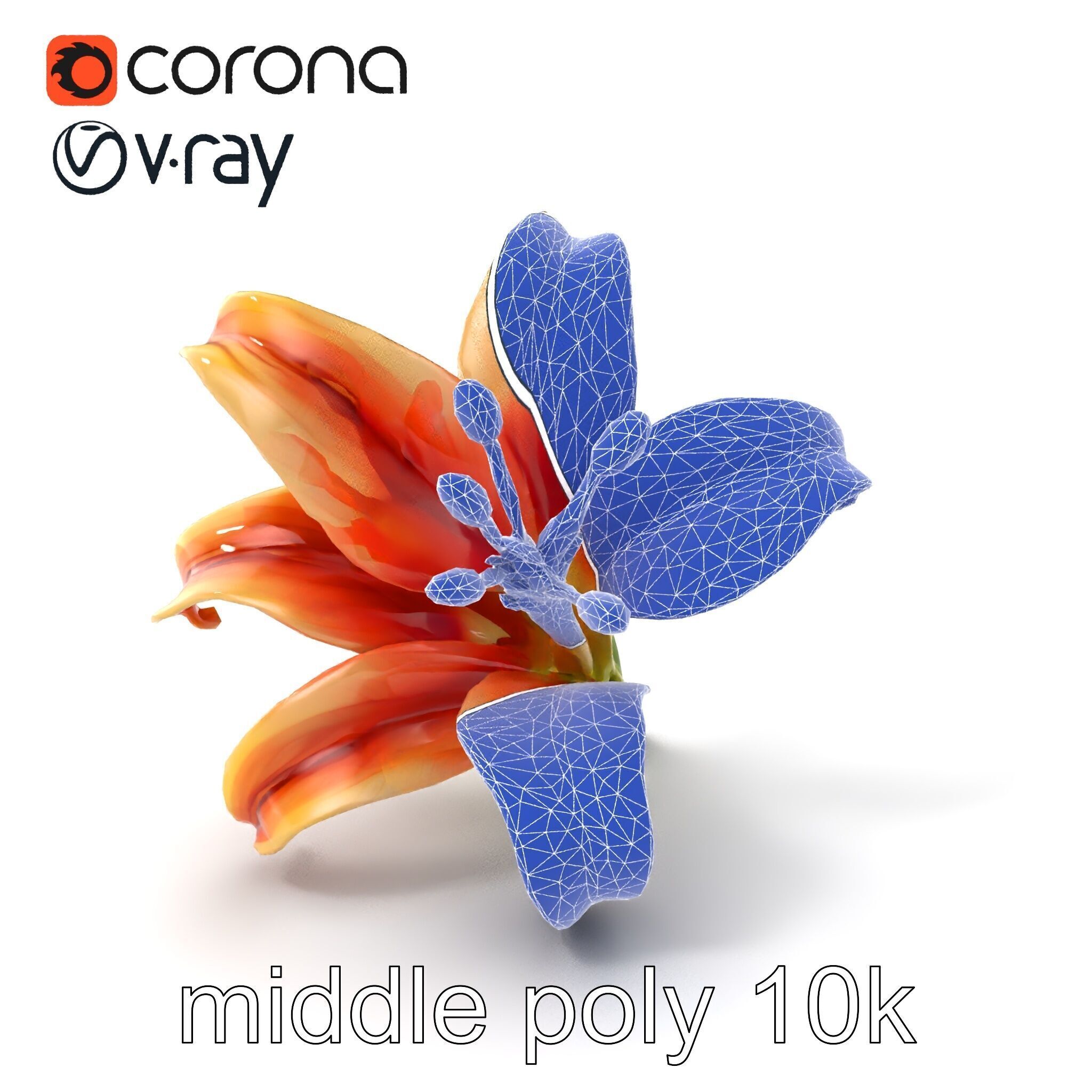 Lily Flower with Detailed Petals Model Pack Low-poly 3D model_6