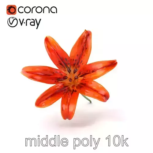 Tiger Lily Flower Detailed Realistic model pack Low-poly 3D model