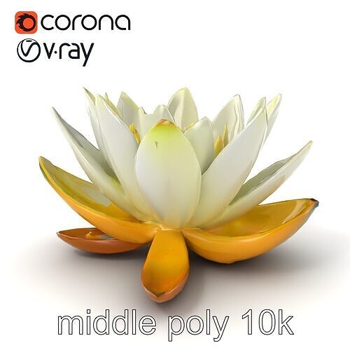 Dwarf Water Lily Small Flowers Model Pack Low-poly 3D model
