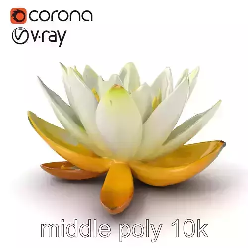 Dwarf Water Lily Small Flowers Model Pack