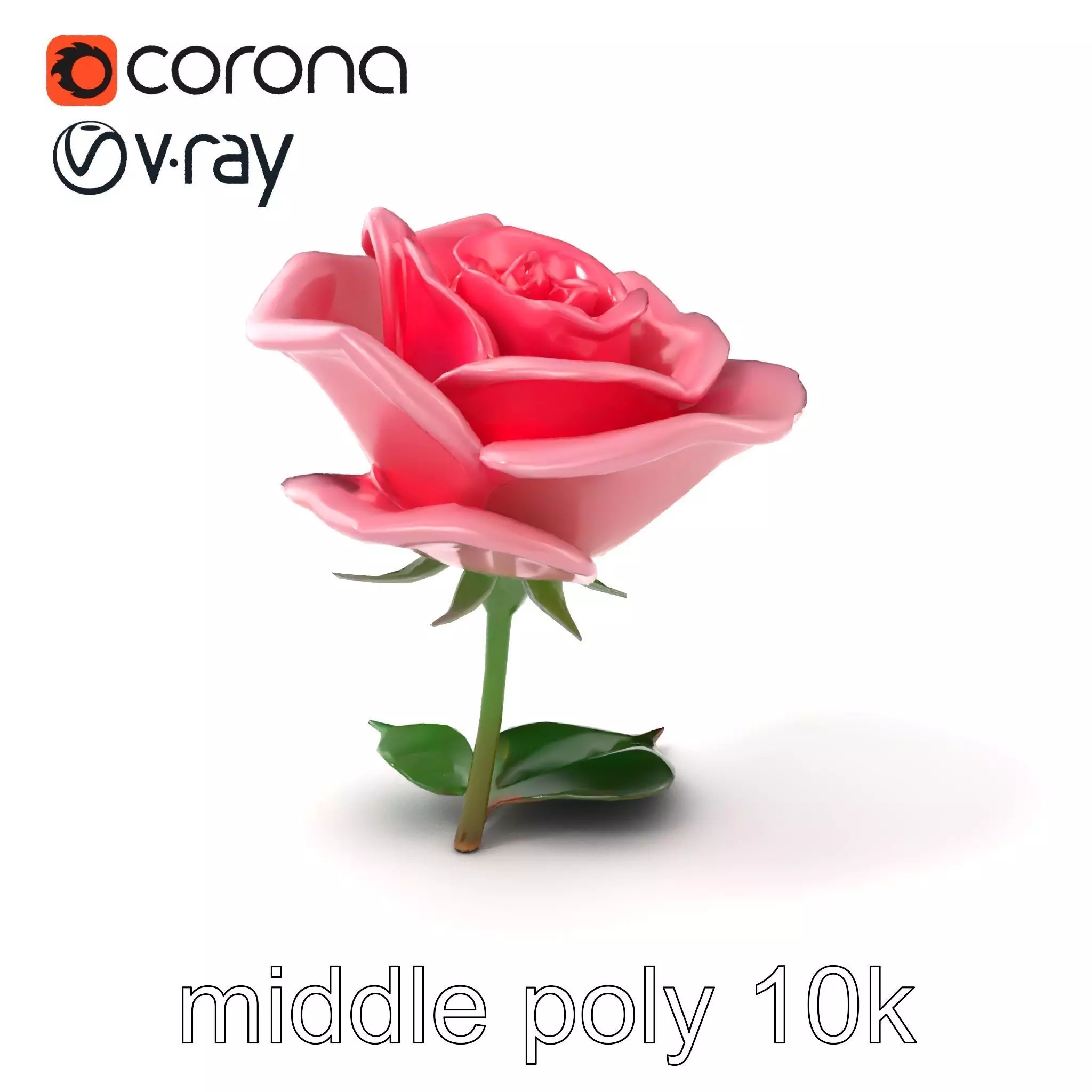 Rosa Damascena Pink Rose model pack Low-poly 3D model_0