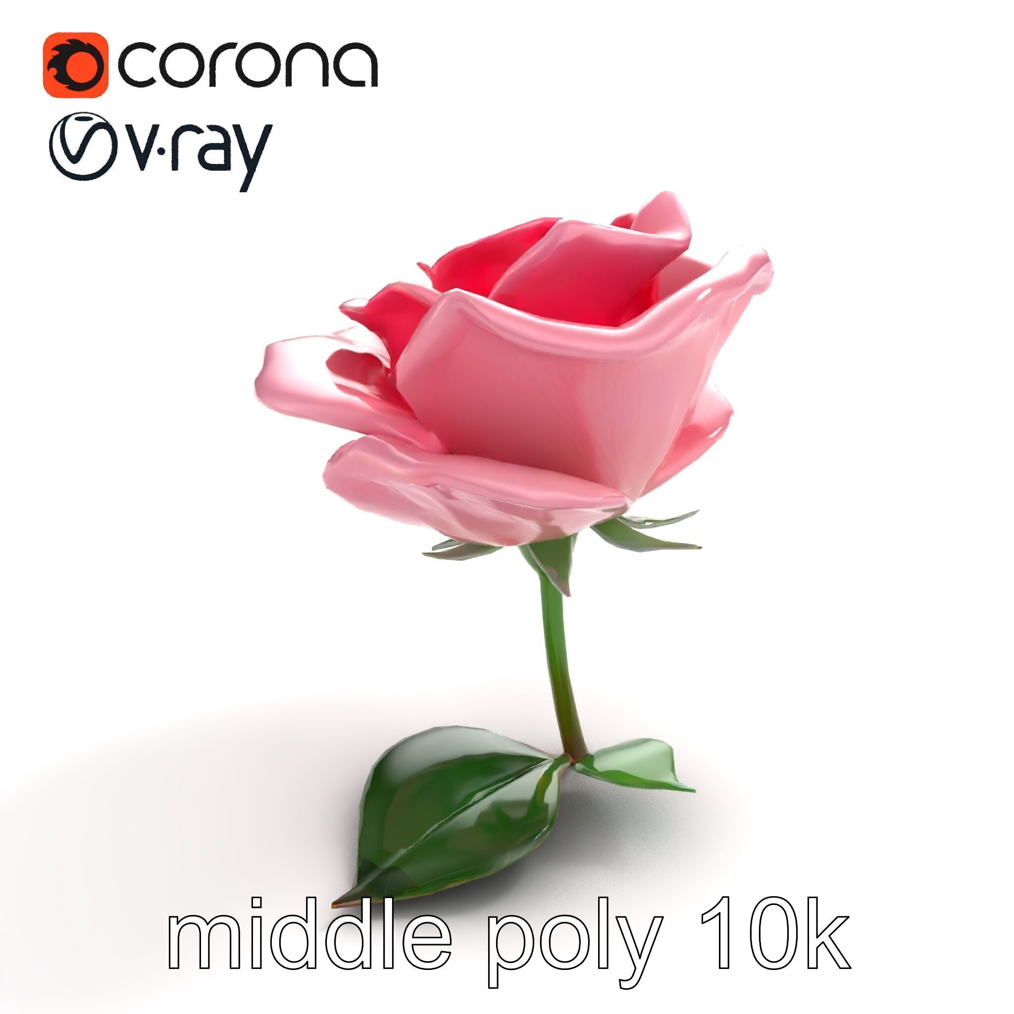 Rosa Damascena Pink Rose model pack Low-poly 3D model_8