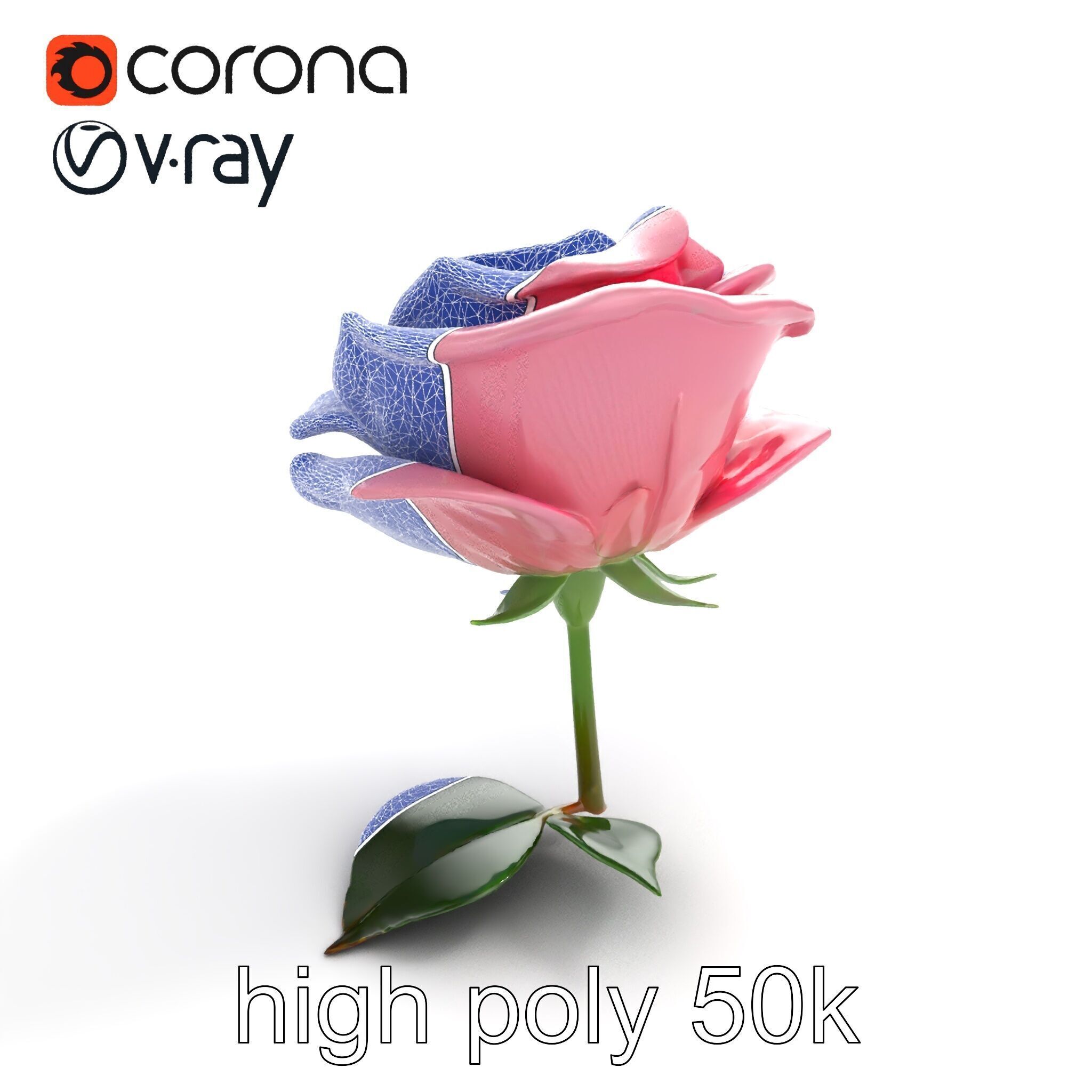 Rosa Damascena Pink Rose model pack Low-poly 3D model_20