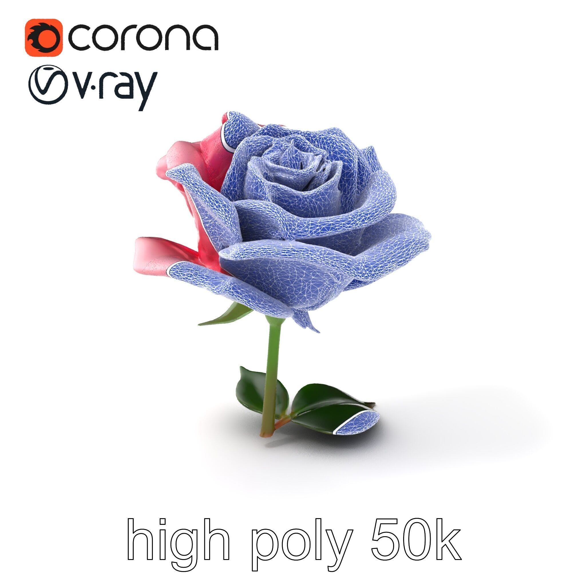 Rosa Damascena Pink Rose model pack Low-poly 3D model_10