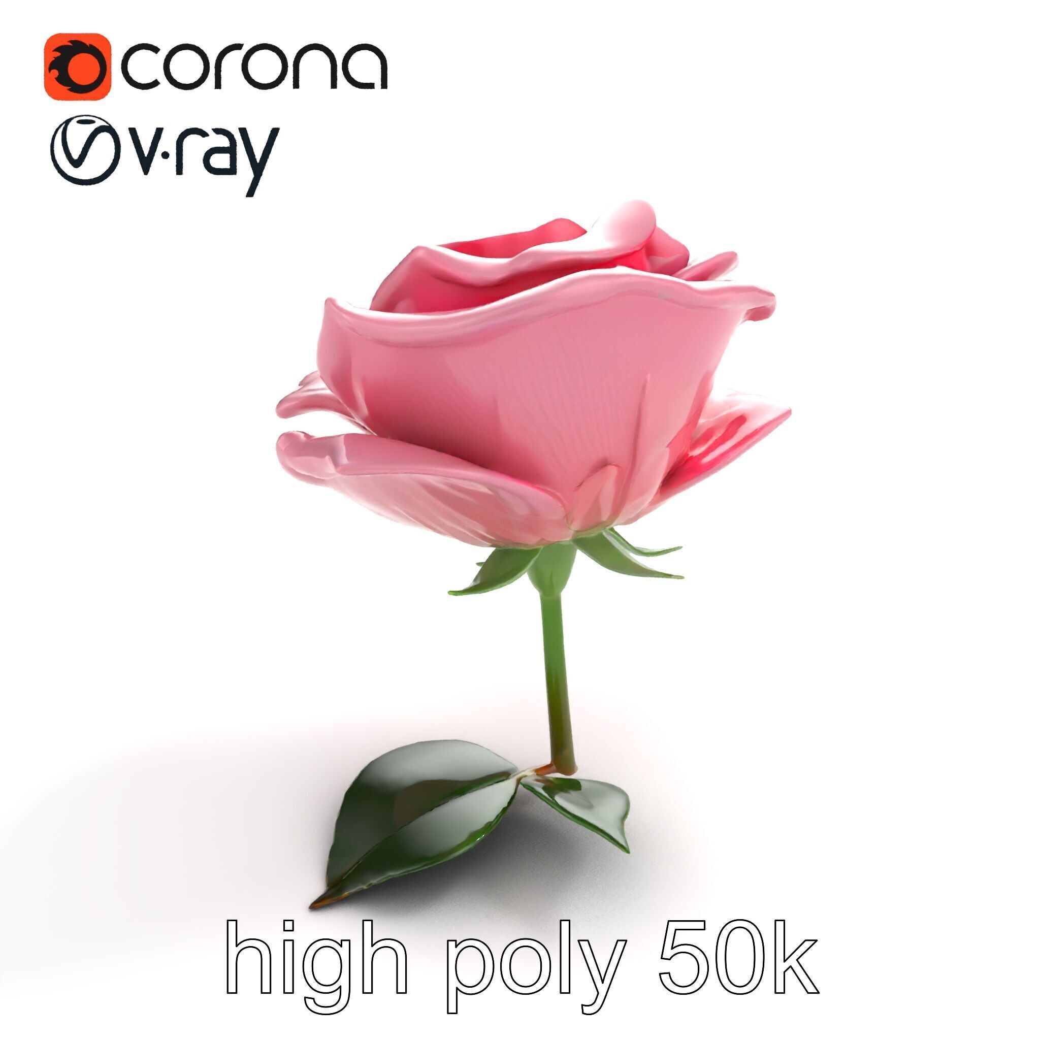 Rosa Damascena Pink Rose model pack Low-poly 3D model_26