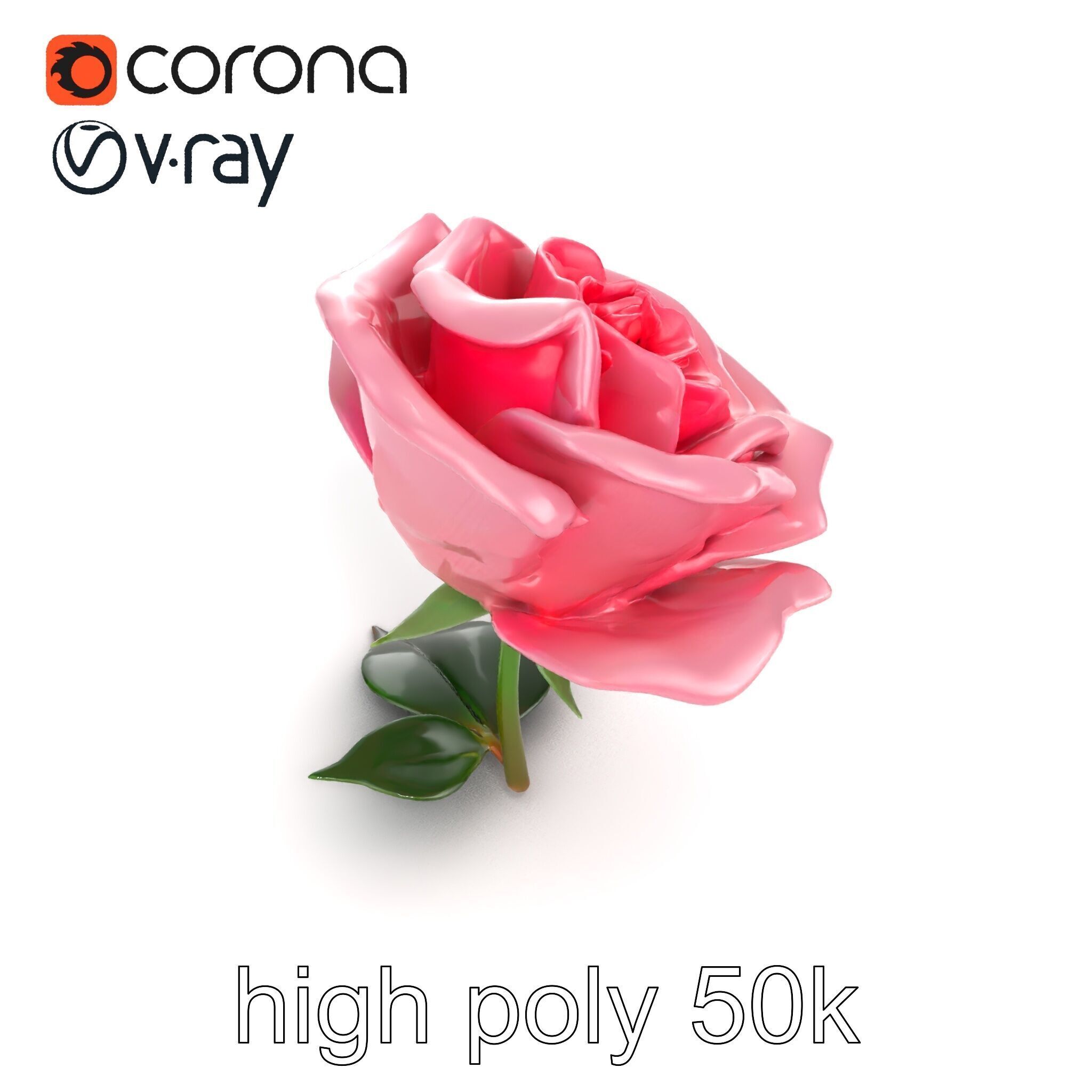 Rosa Damascena Pink Rose model pack Low-poly 3D model_13