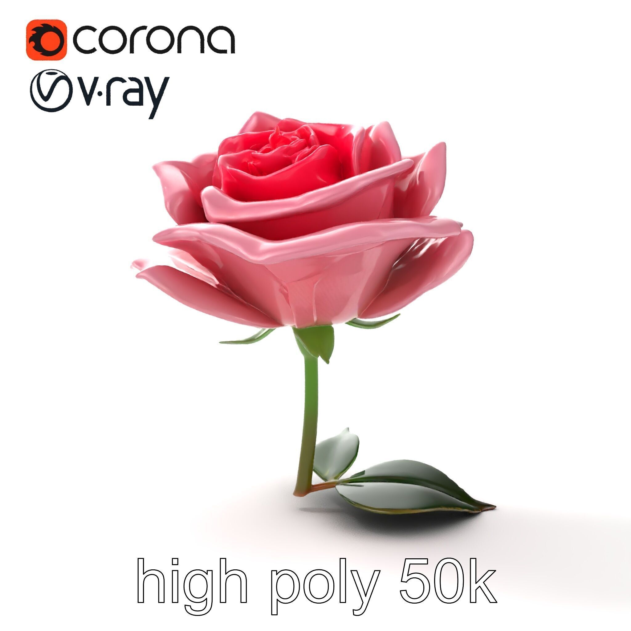Rosa Damascena Pink Rose model pack Low-poly 3D model_22