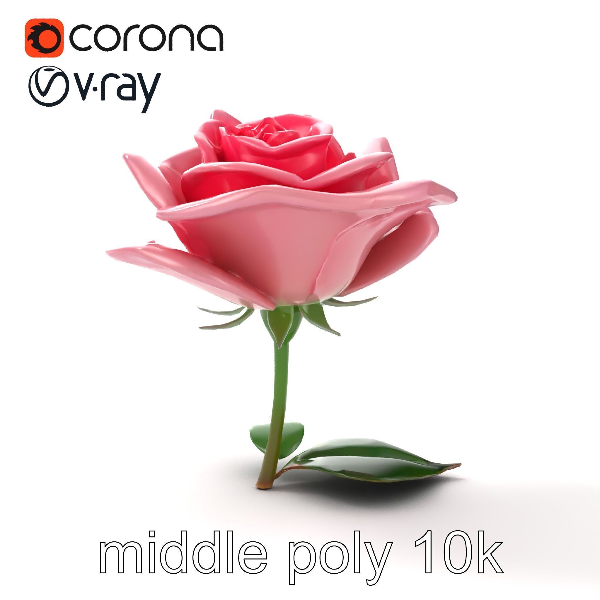 Rosa Damascena Pink Rose model pack Low-poly 3D model_18