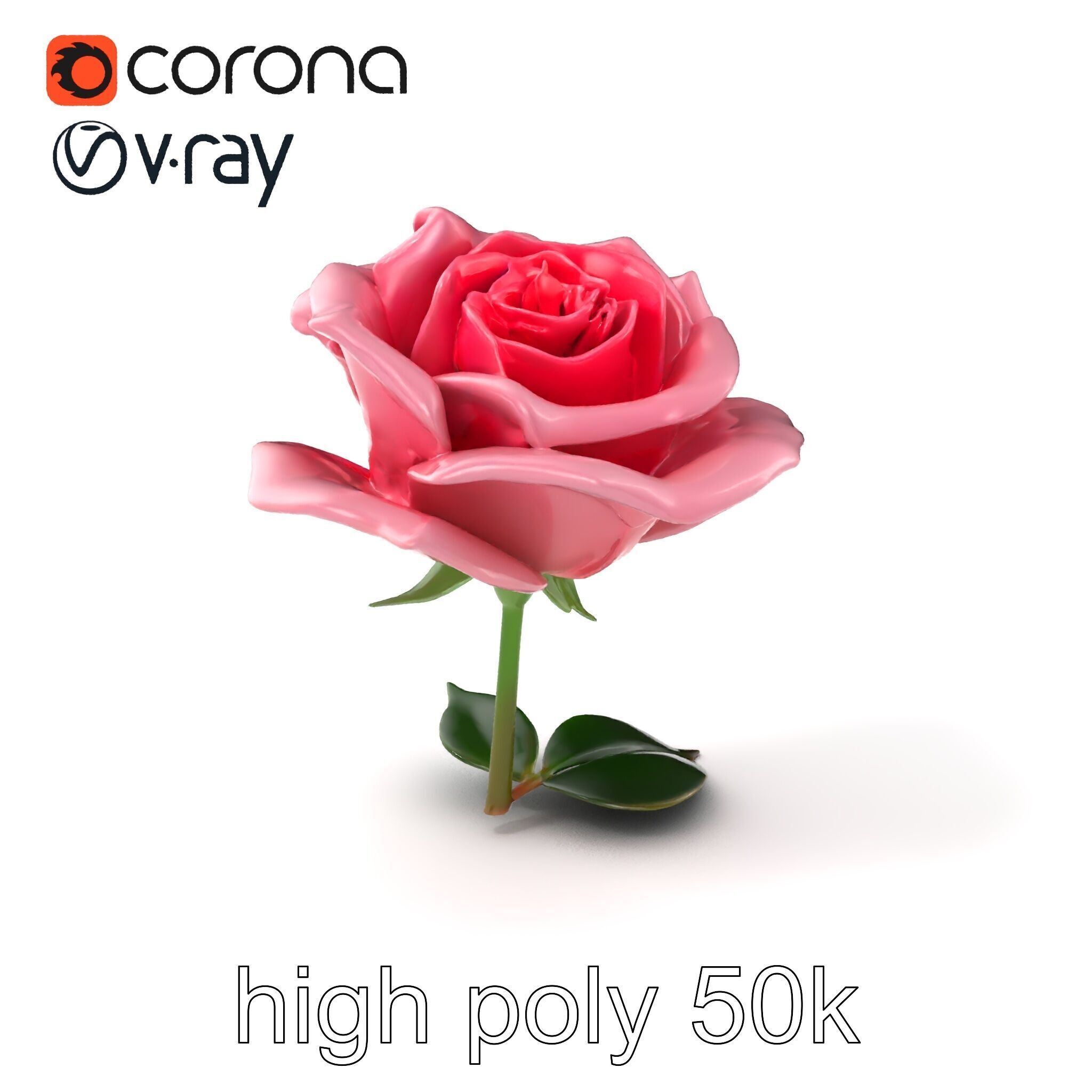 Rosa Damascena Pink Rose model pack Low-poly 3D model_2