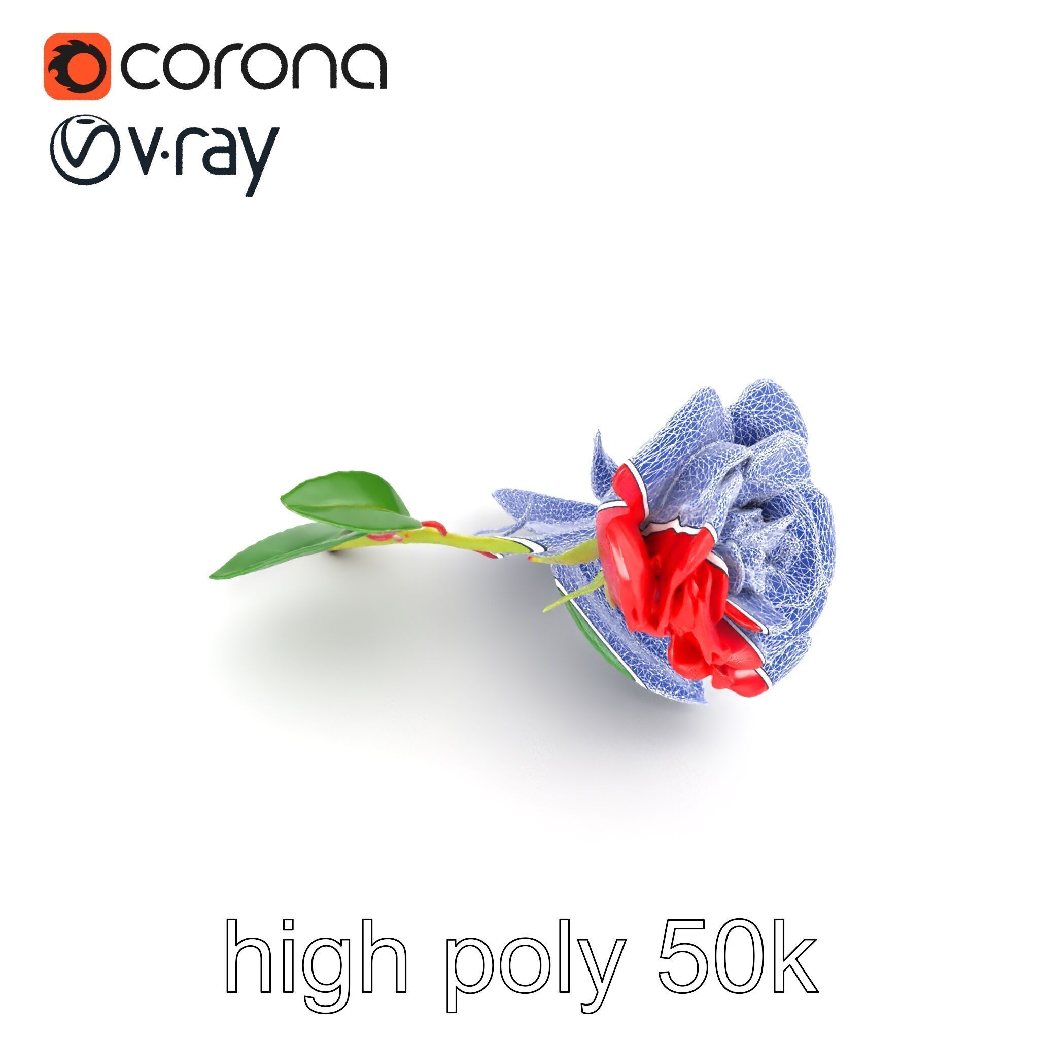 Rosa Gallica Red Rose Velvety Flower model pack Low-poly 3D model_29