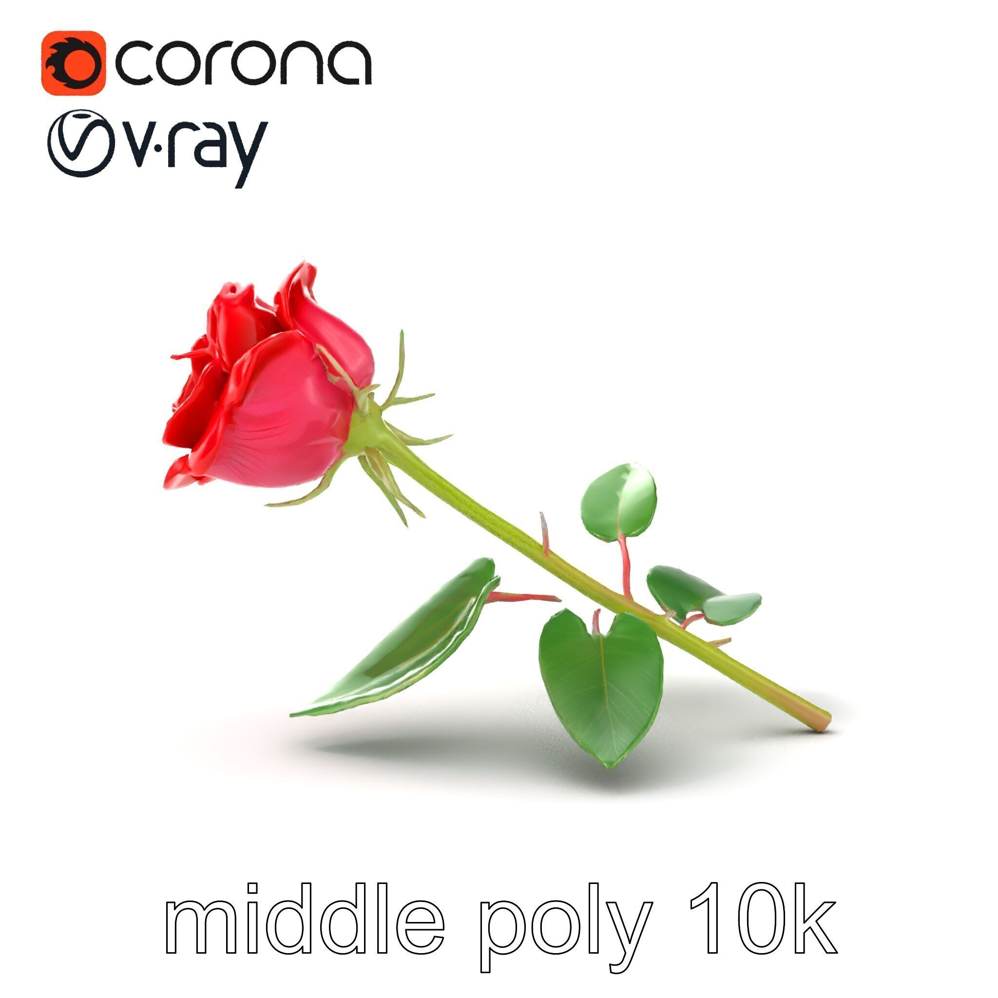 Rosa Gallica Red Rose Velvety Flower model pack Low-poly 3D model_14