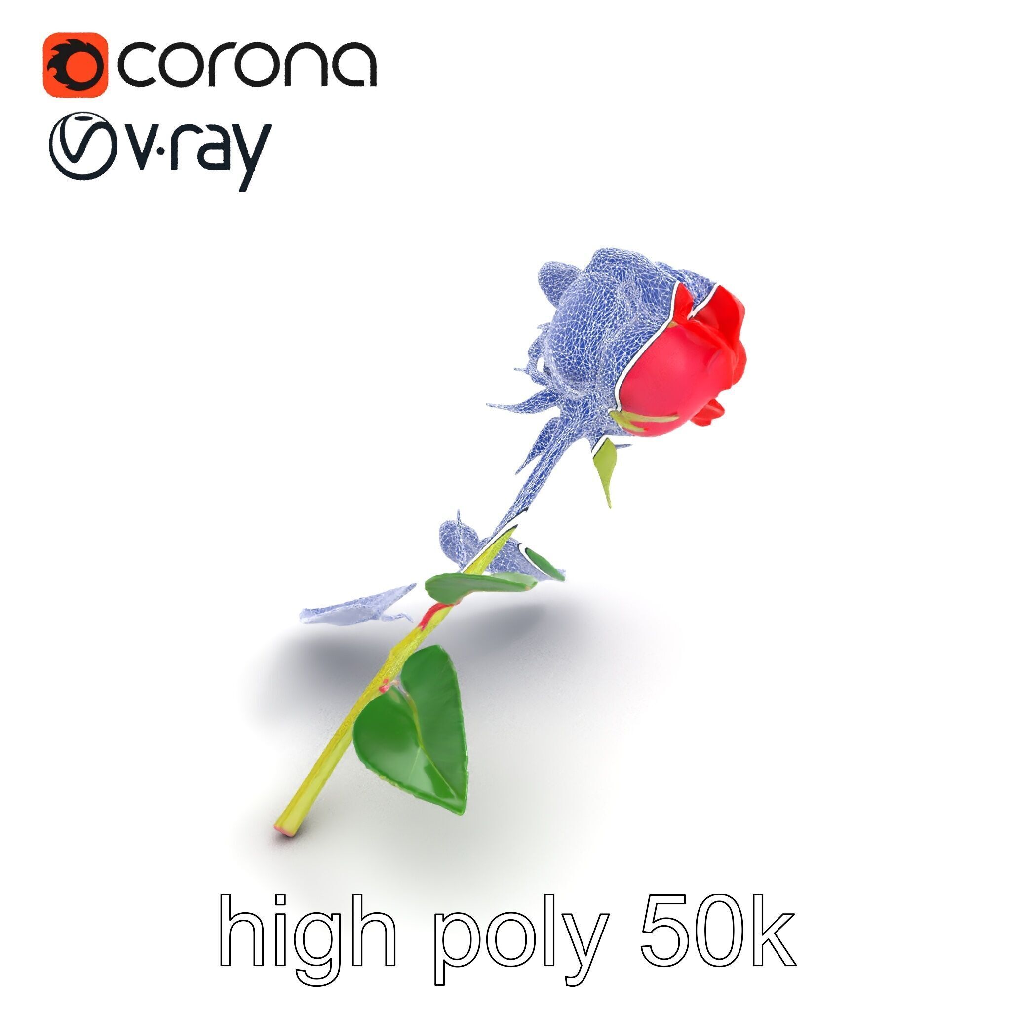 Rosa Gallica Red Rose Velvety Flower model pack Low-poly 3D model_12