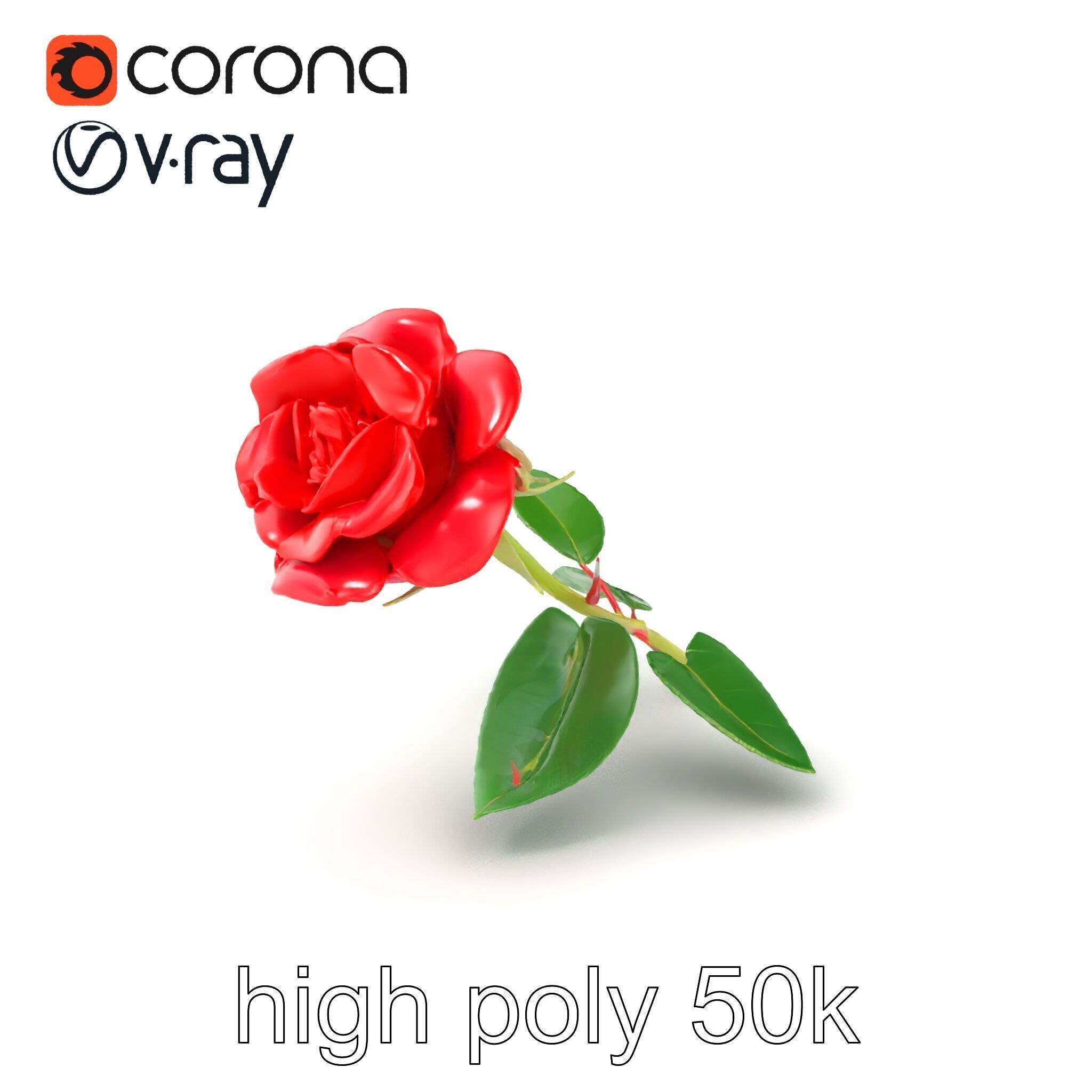 Rosa Gallica Red Rose Velvety Flower model pack Low-poly 3D model_2