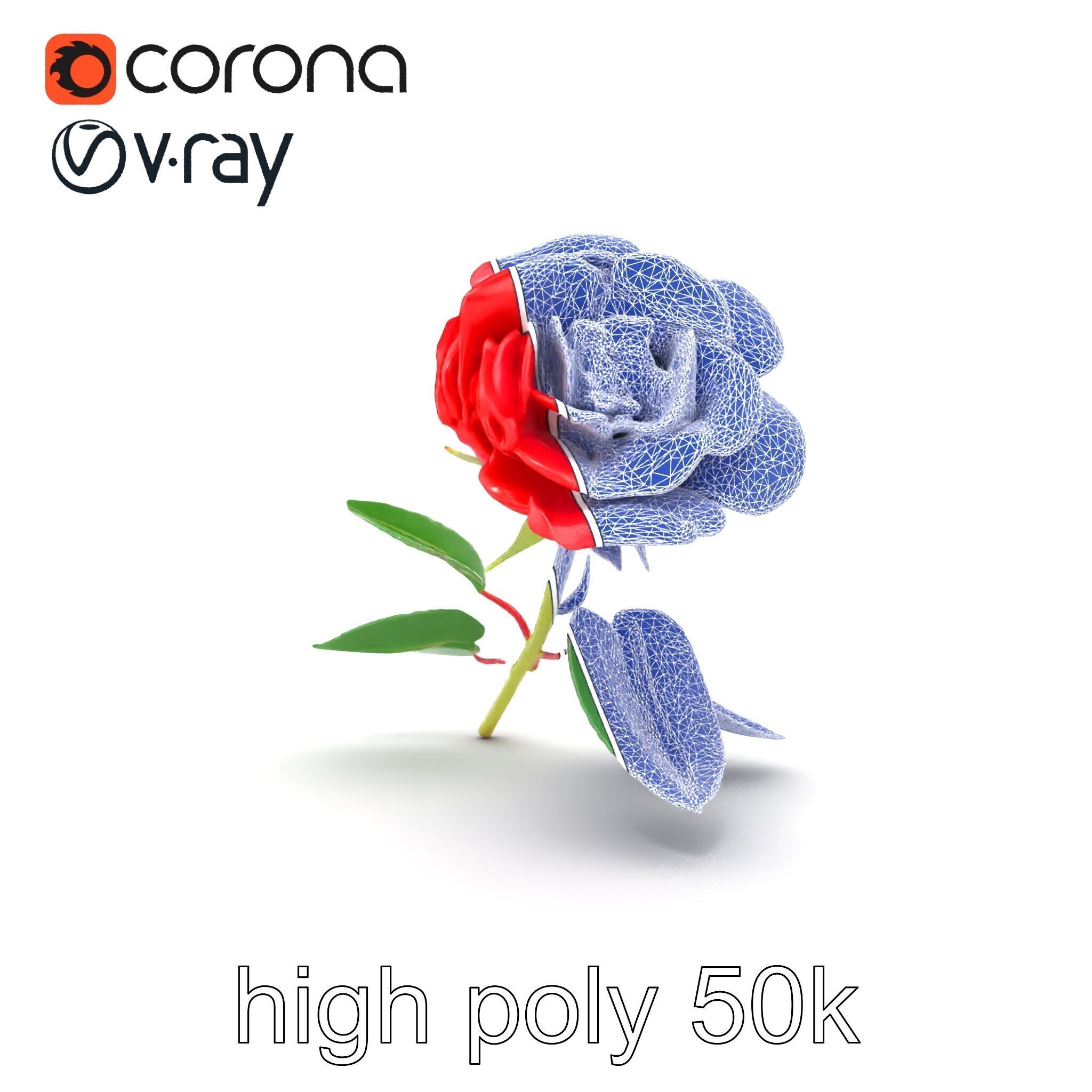 Rosa Gallica Red Rose Velvety Flower model pack Low-poly 3D model_18