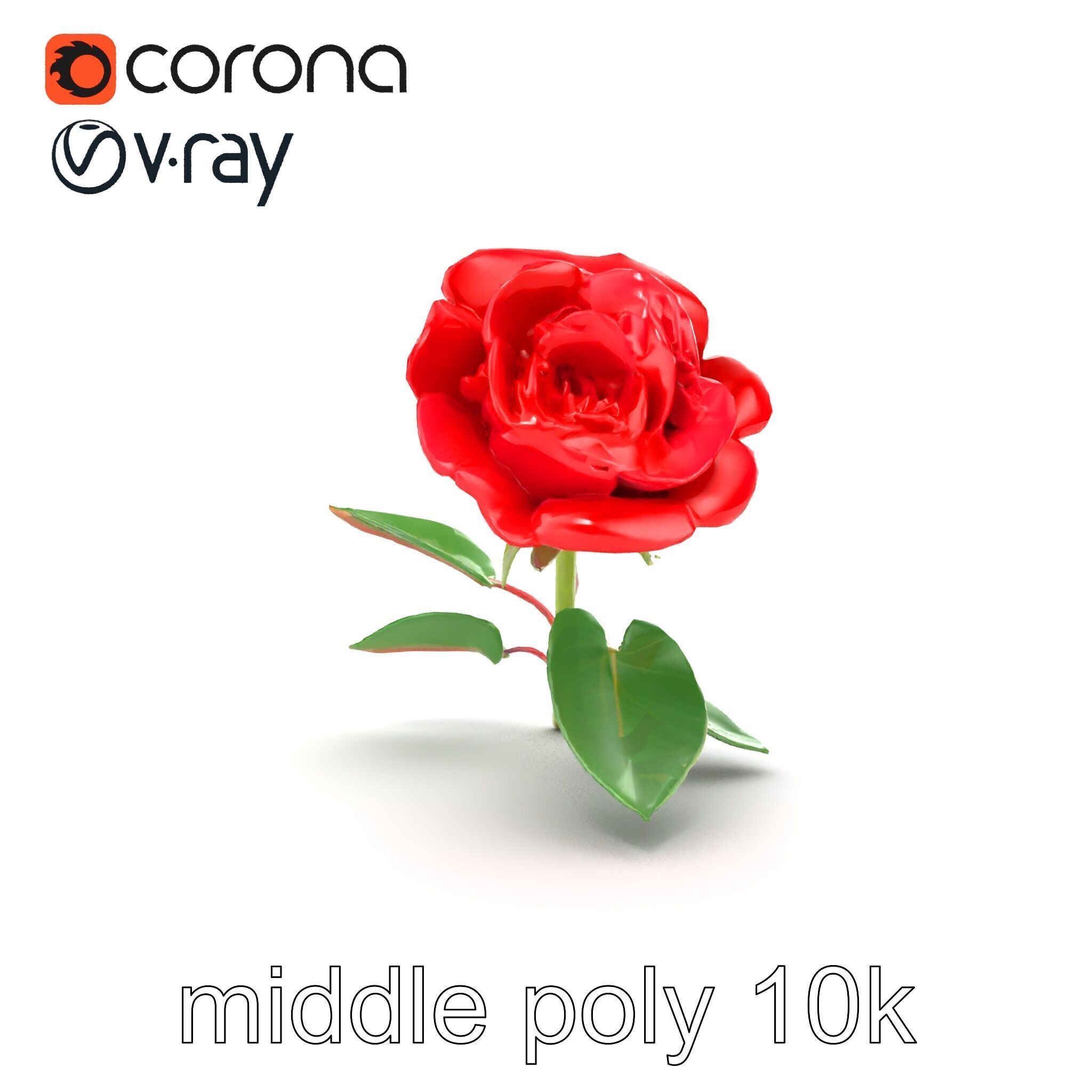 Rosa Gallica Red Rose Velvety Flower model pack Low-poly 3D model_28