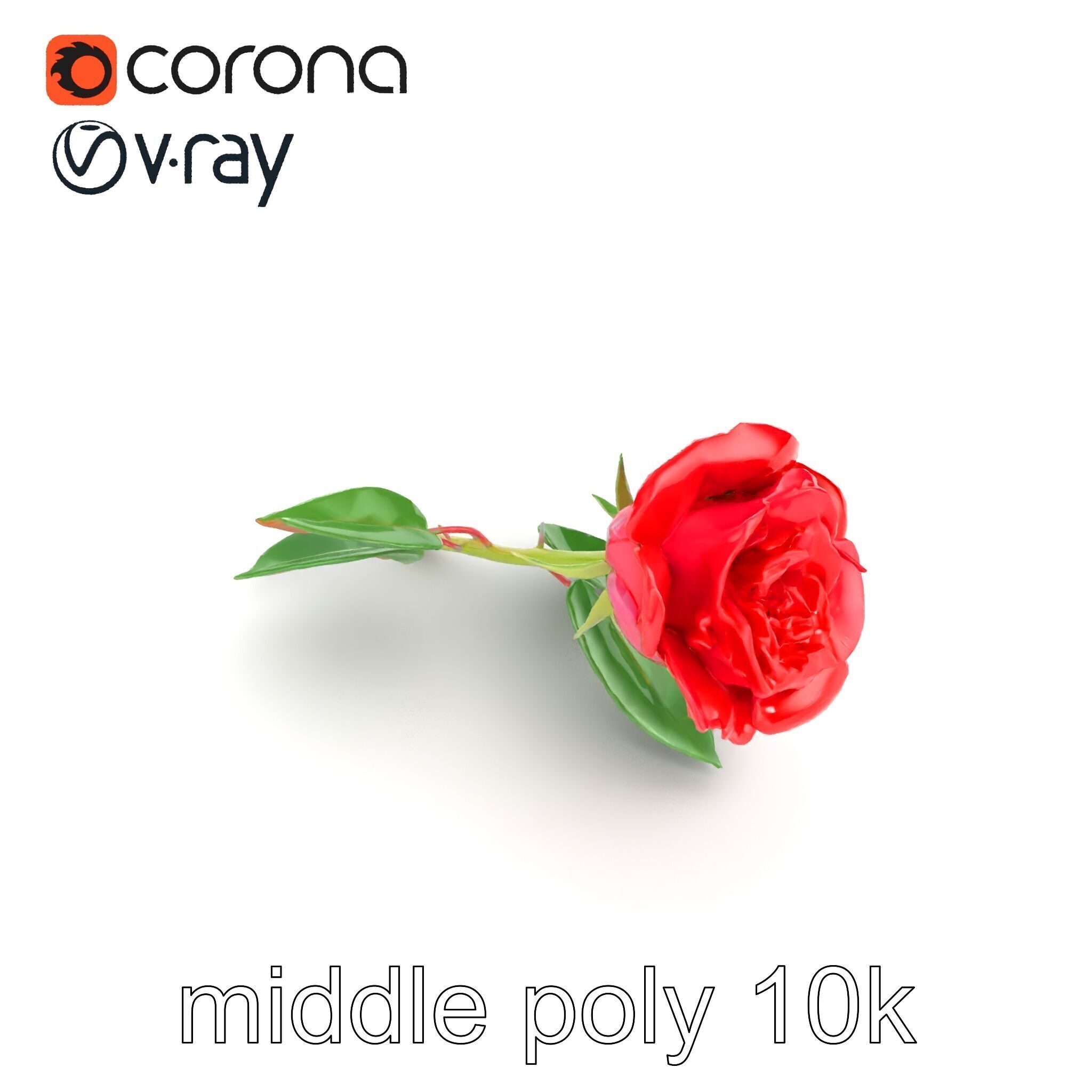 Rosa Gallica Red Rose Velvety Flower model pack Low-poly 3D model_17