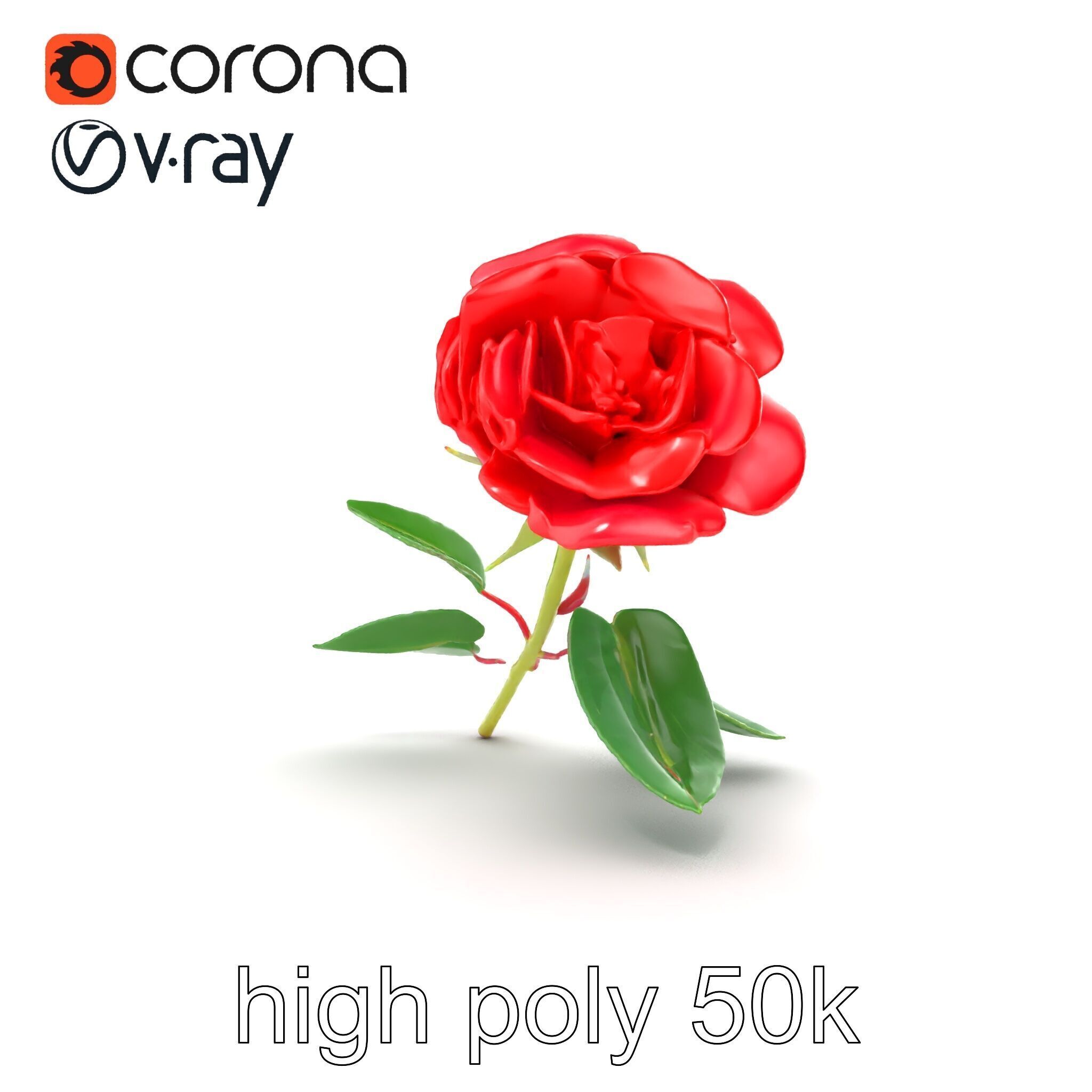 Rosa Gallica Red Rose Velvety Flower model pack Low-poly 3D model_13