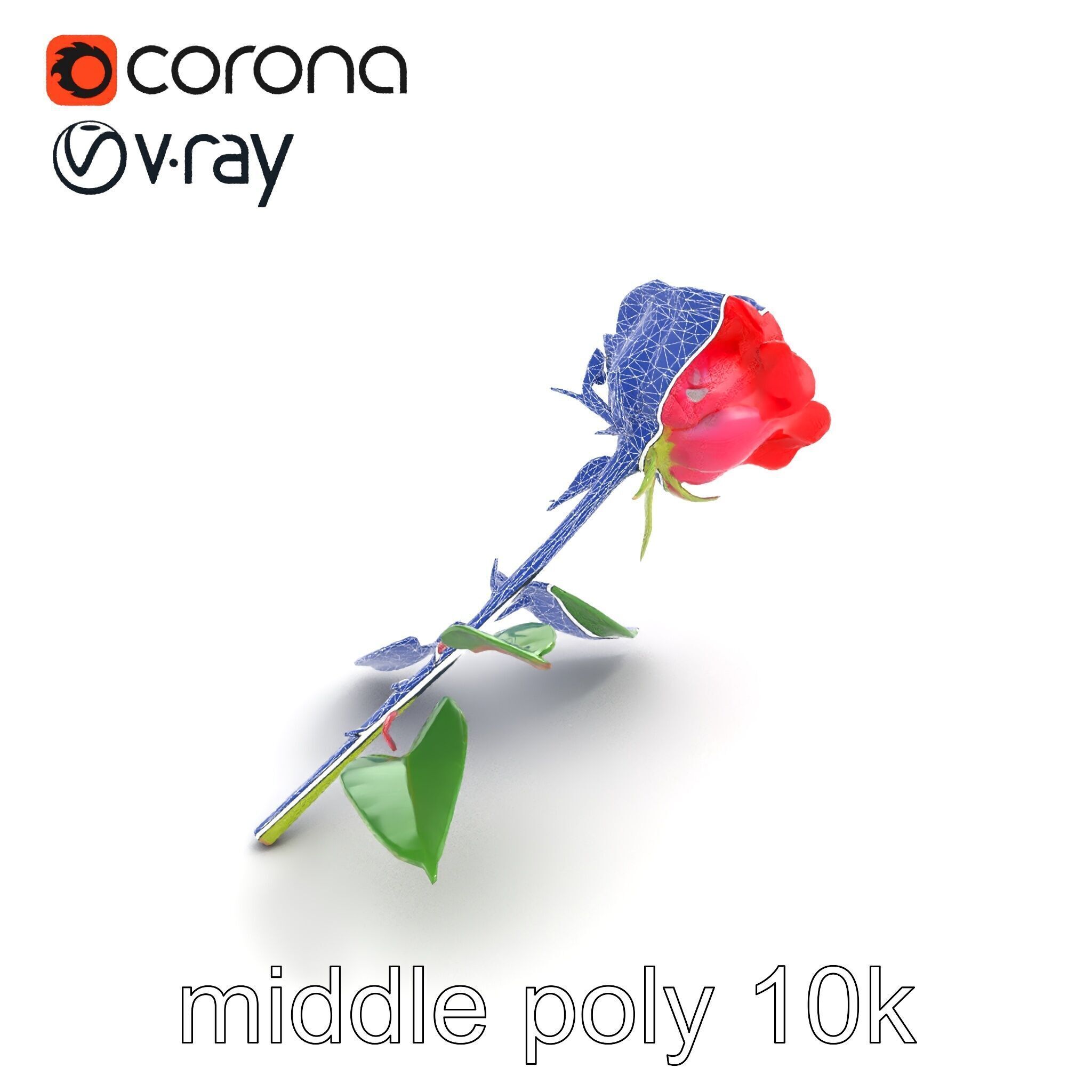 Rosa Gallica Red Rose Velvety Flower model pack Low-poly 3D model_11