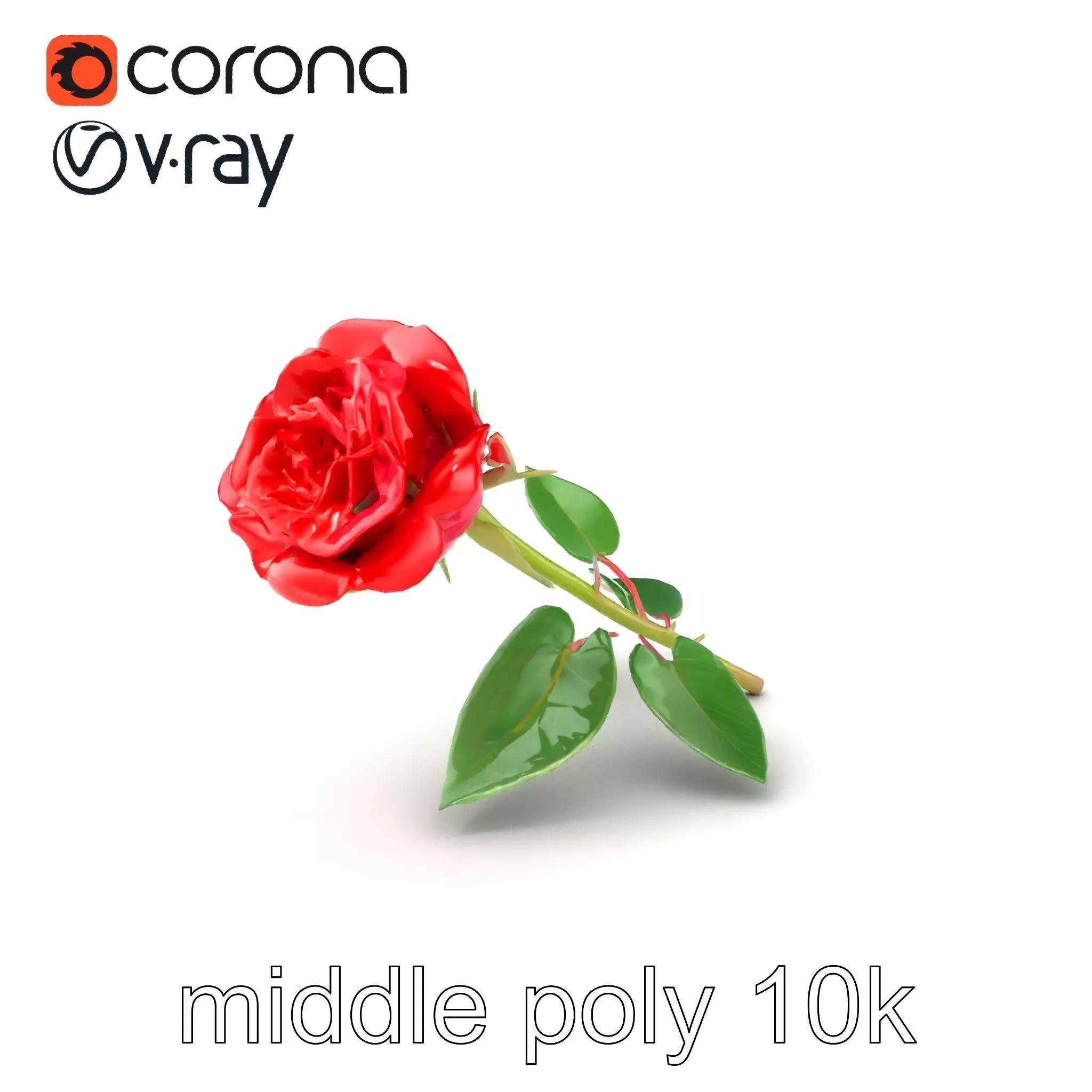 Rosa Gallica Red Rose Velvety Flower model pack Low-poly 3D model_0