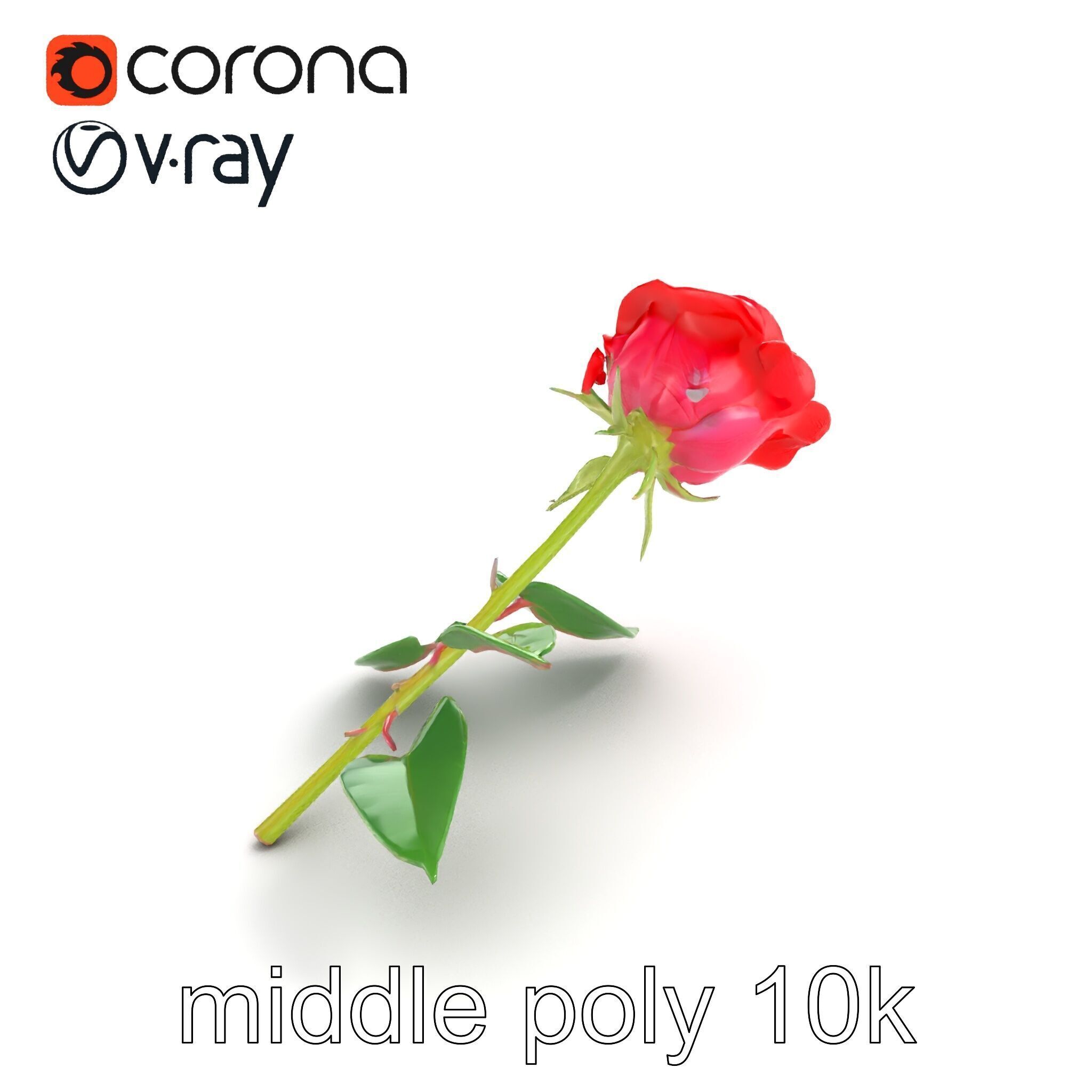 Rosa Gallica Red Rose Velvety Flower model pack Low-poly 3D model_7
