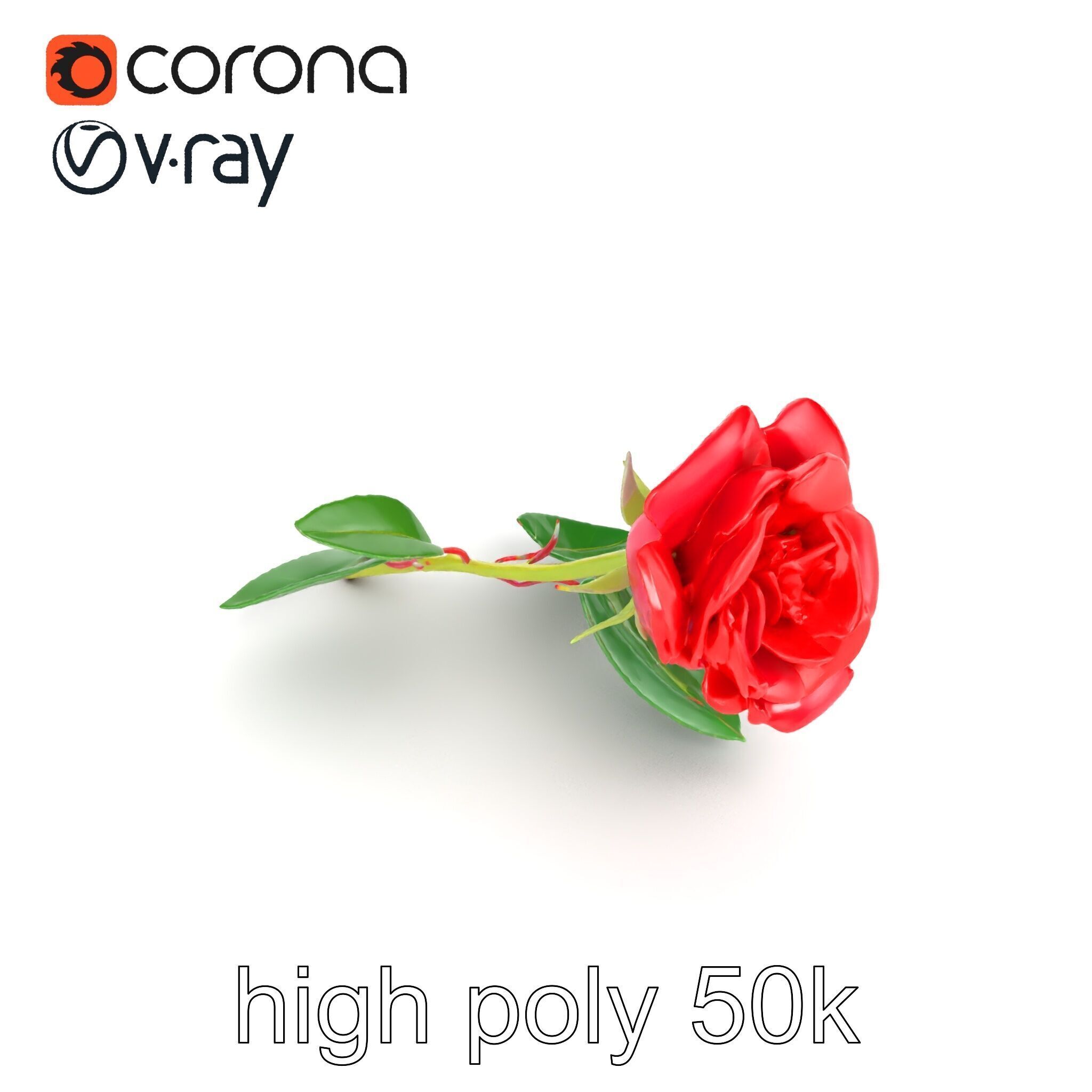 Rosa Gallica Red Rose Velvety Flower model pack Low-poly 3D model_19