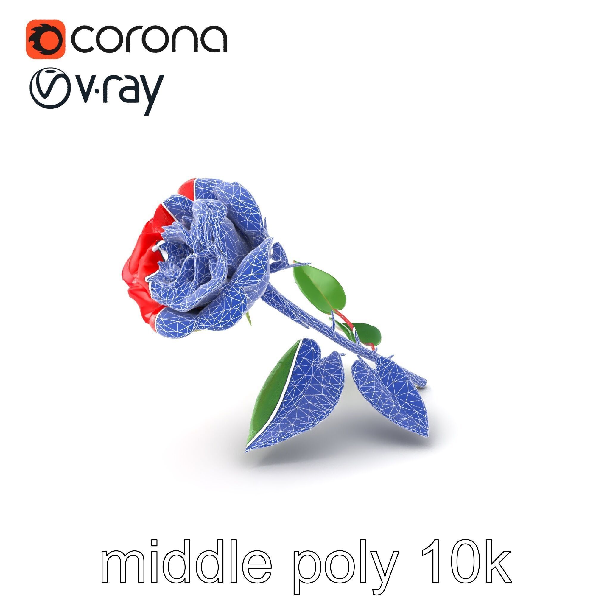 Rosa Gallica Red Rose Velvety Flower model pack Low-poly 3D model_5