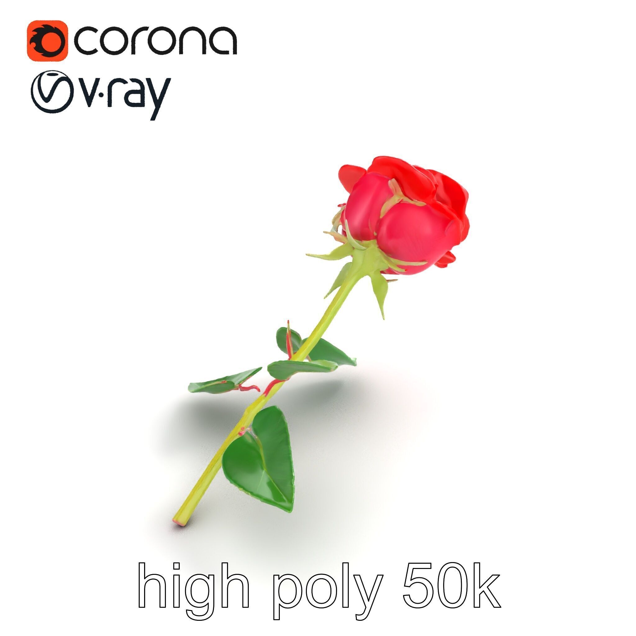 Rosa Gallica Red Rose Velvety Flower model pack Low-poly 3D model_9