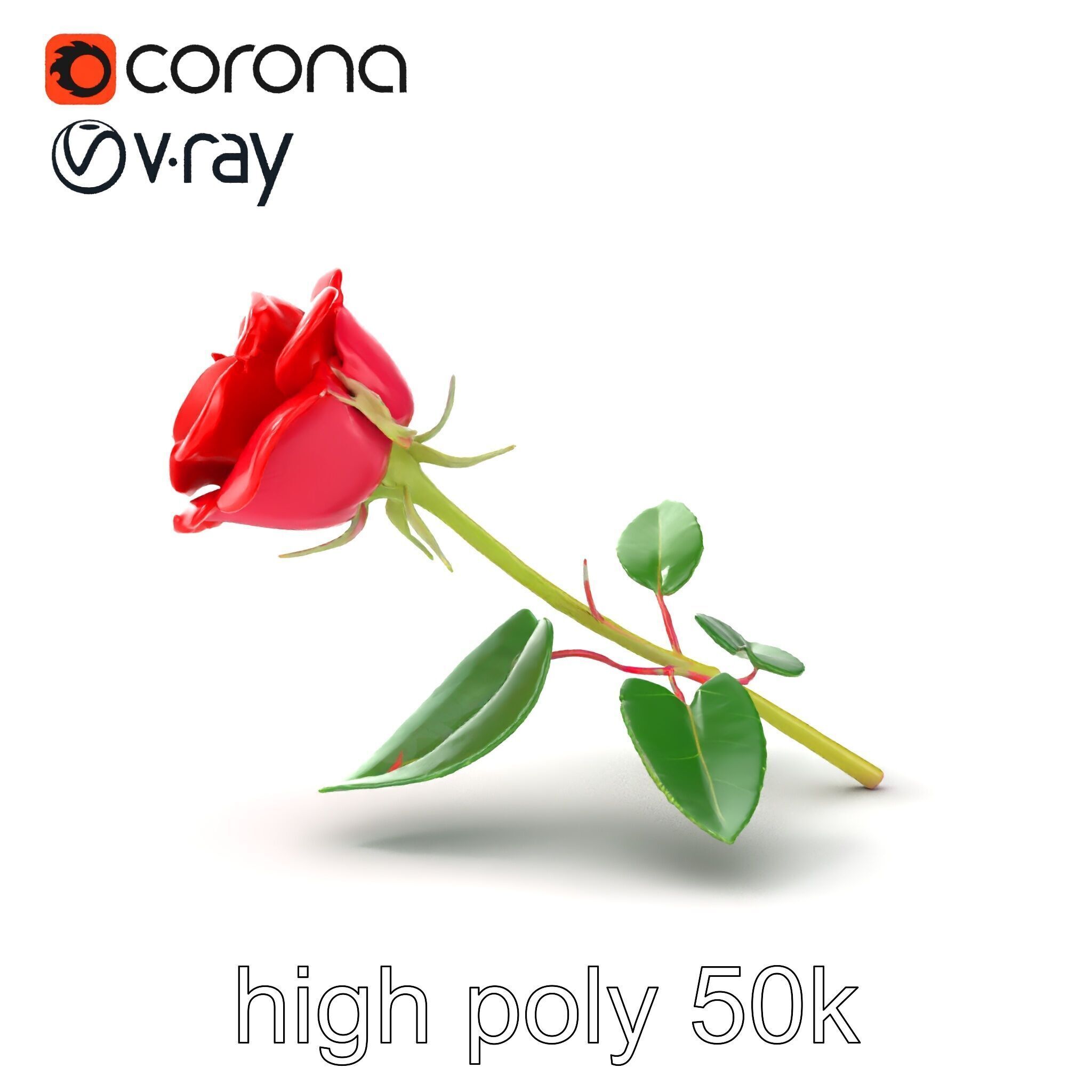 Rosa Gallica Red Rose Velvety Flower model pack Low-poly 3D model_16