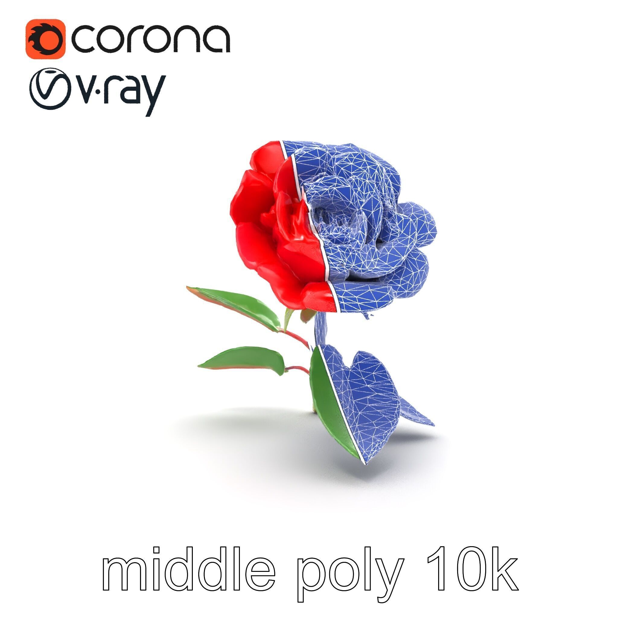 Rosa Gallica Red Rose Velvety Flower model pack Low-poly 3D model_30