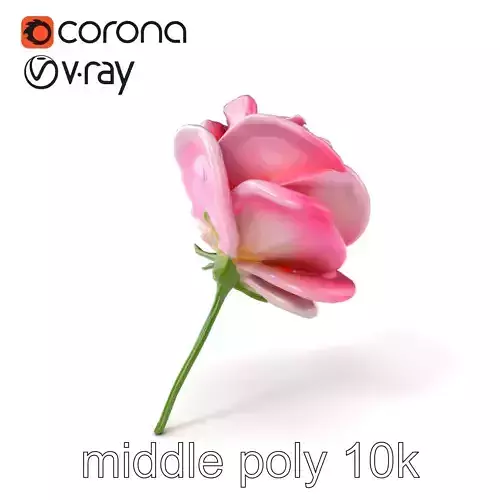 Rosa Odorata Tea Rose Large Flowers model pack Low-poly 3D model