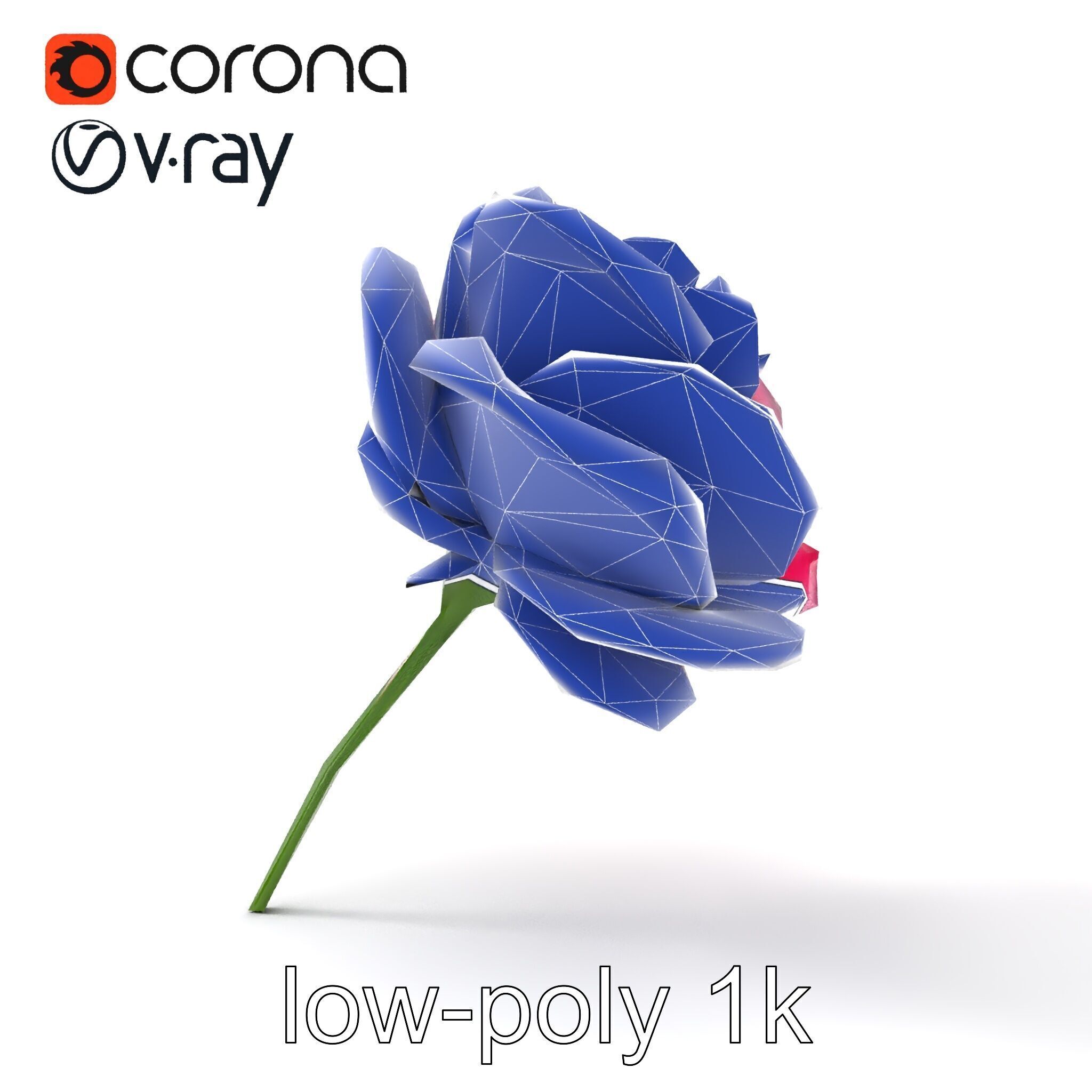 Rosa Odorata Tea Rose Large Flowers model pack Low-poly 3D model_30