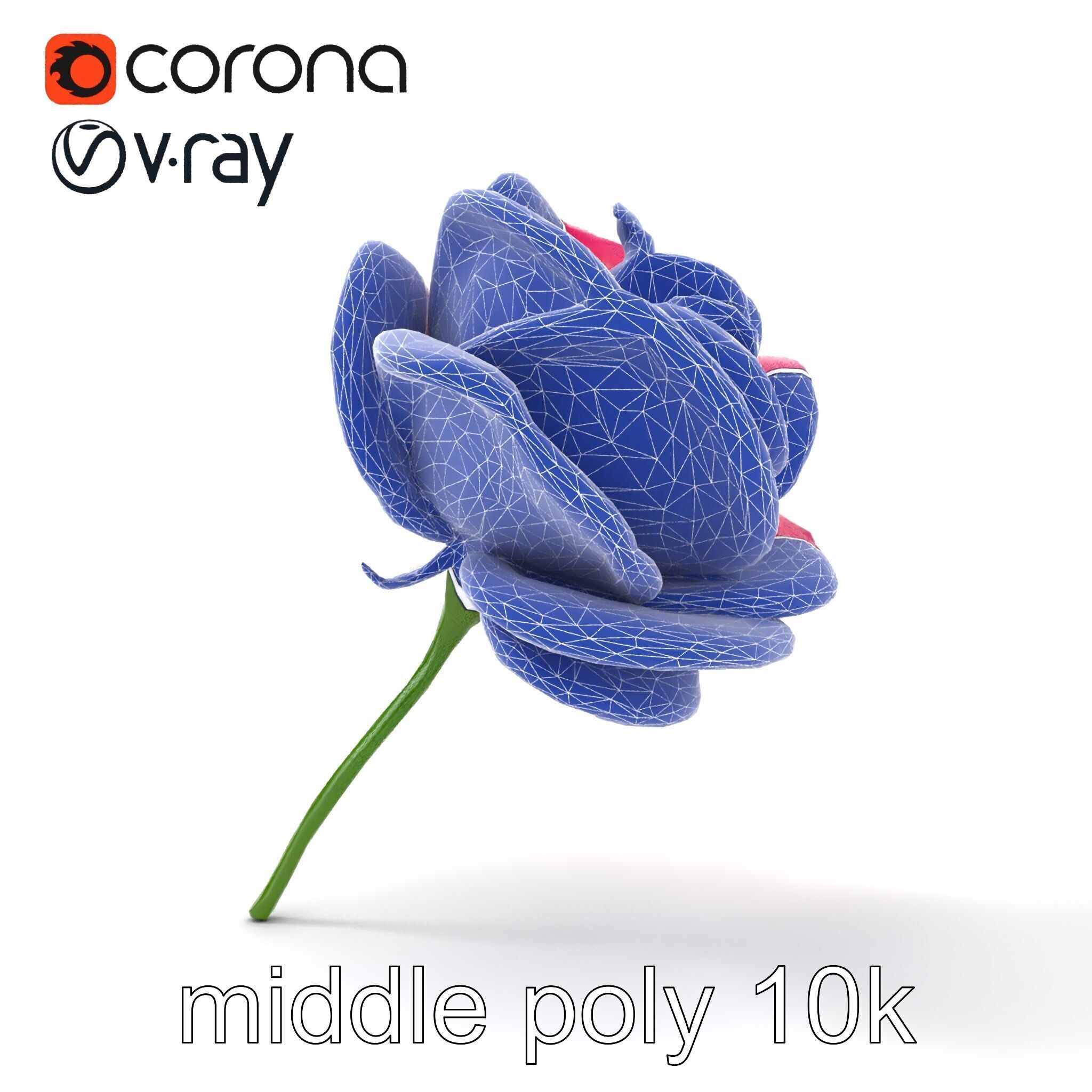Rosa Odorata Tea Rose Large Flowers model pack Low-poly 3D model_21