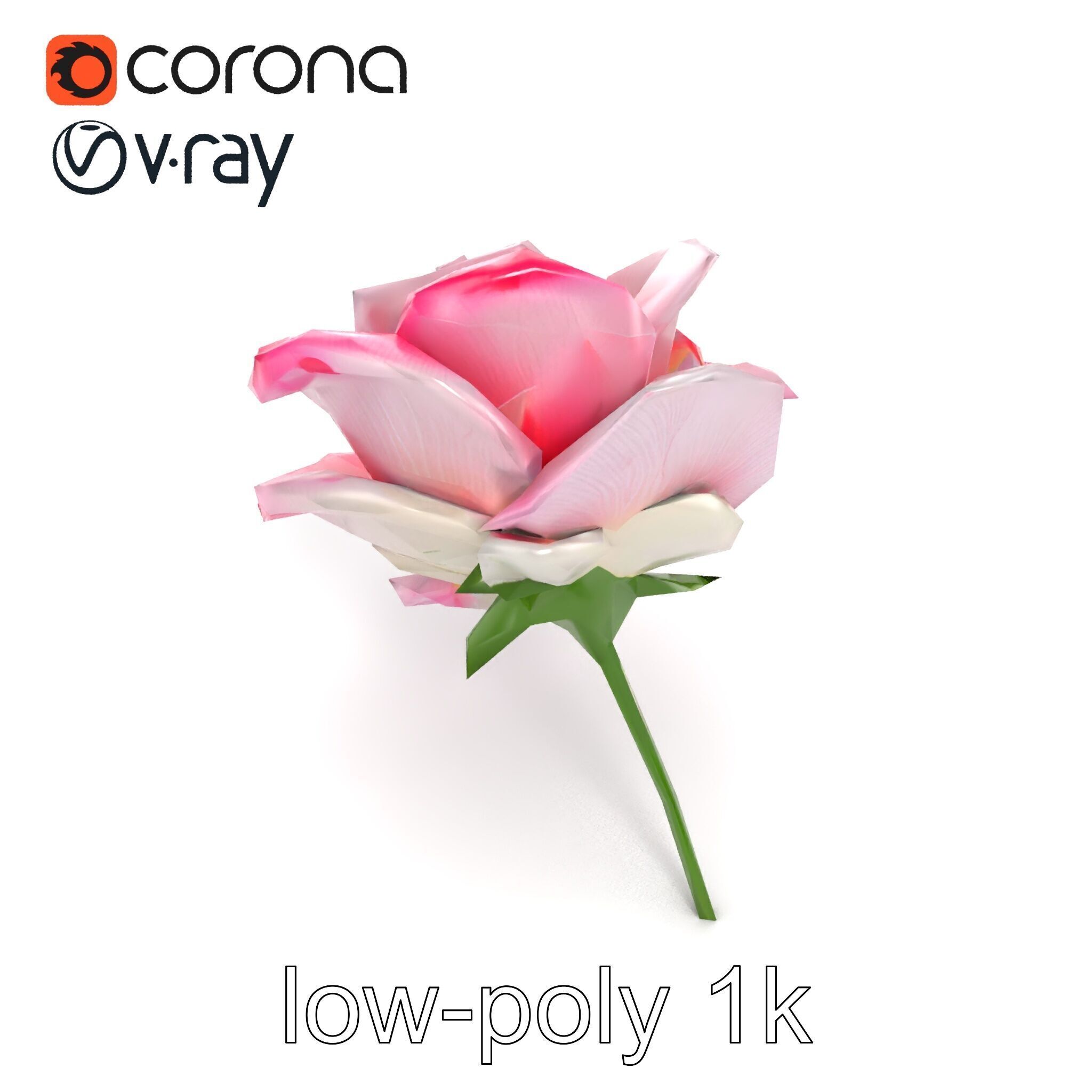 Rosa Odorata Tea Rose Large Flowers model pack Low-poly 3D model_11