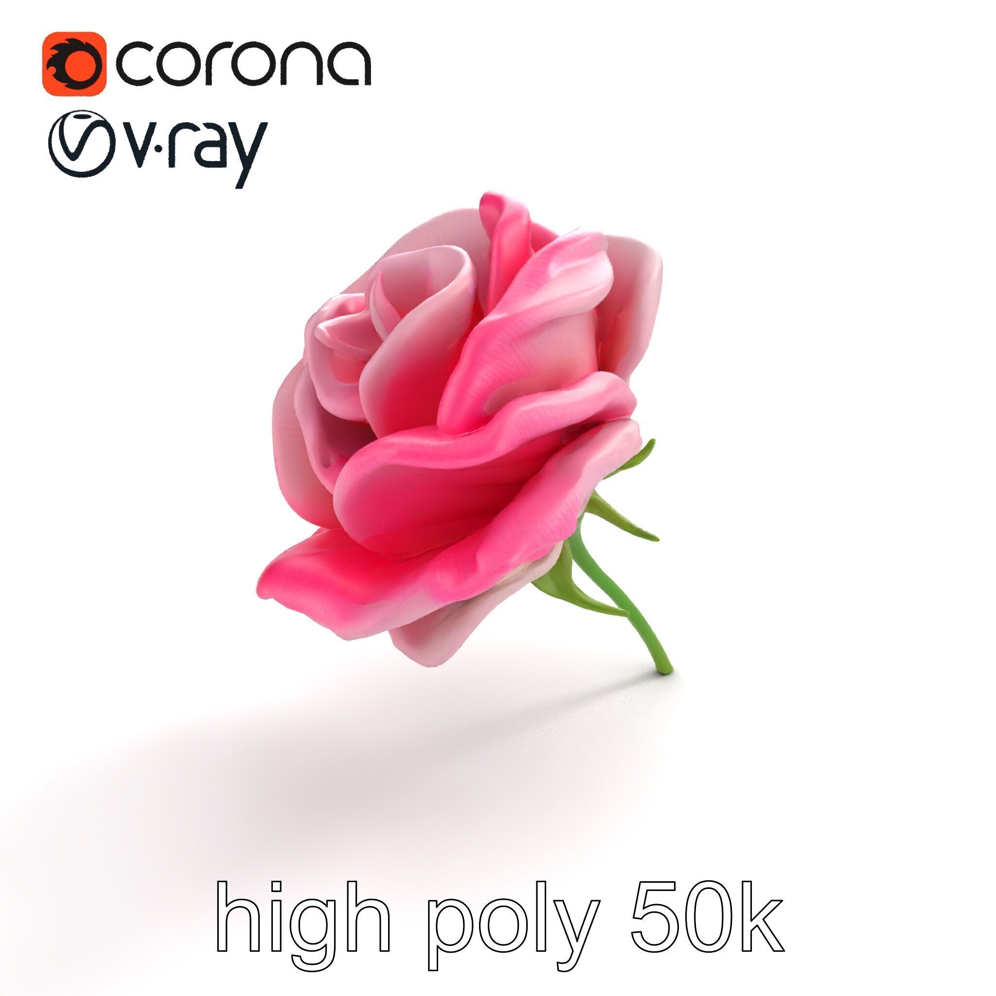 Rosa Odorata Tea Rose Large Flowers model pack Low-poly 3D model_24