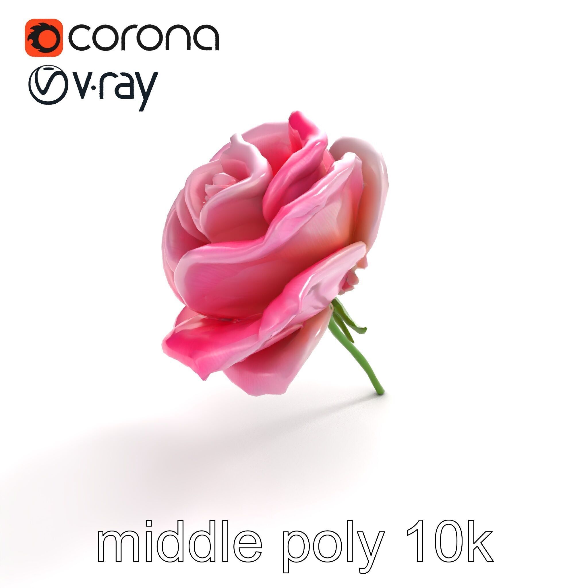 Rosa Odorata Tea Rose Large Flowers model pack Low-poly 3D model_8