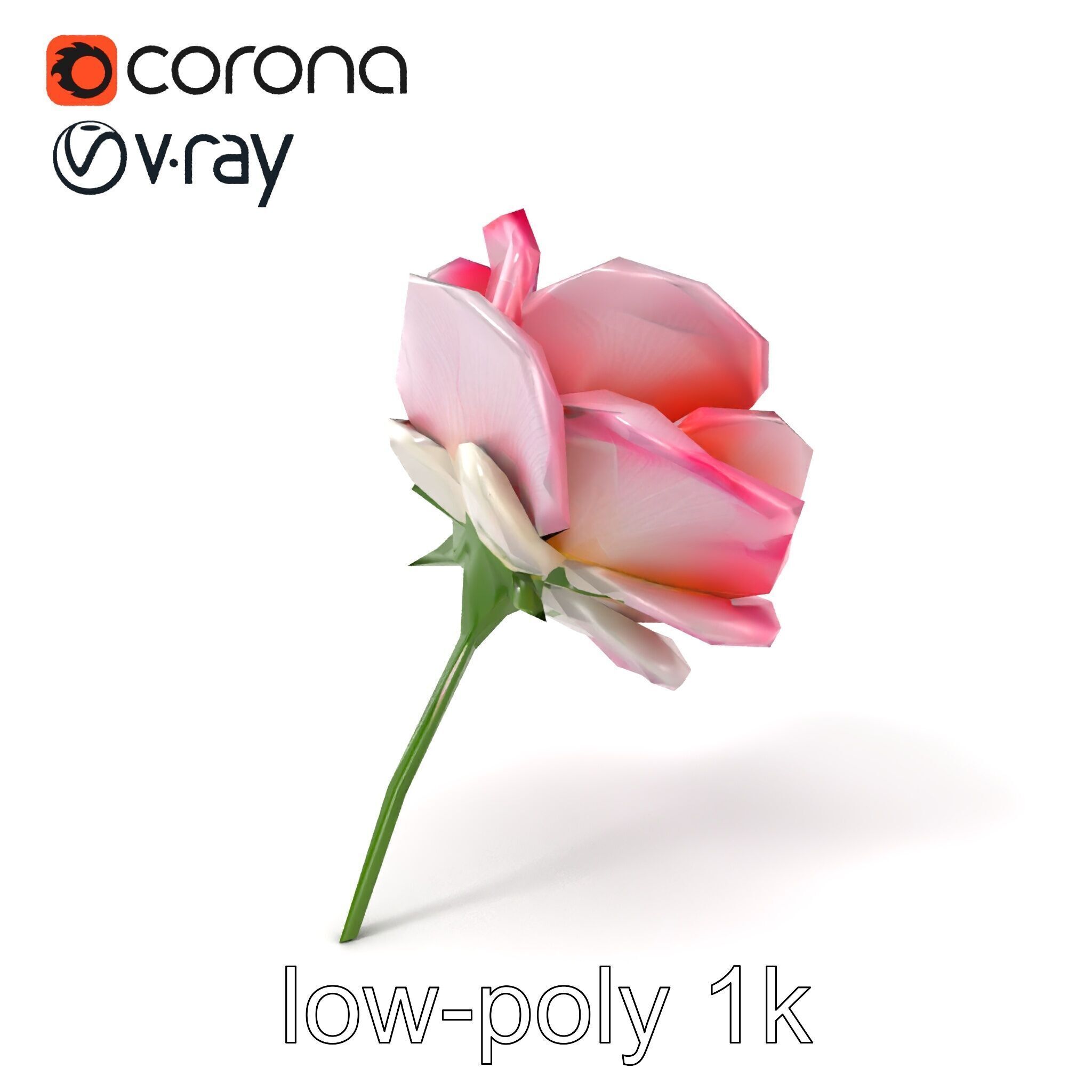 Rosa Odorata Tea Rose Large Flowers model pack Low-poly 3D model_5
