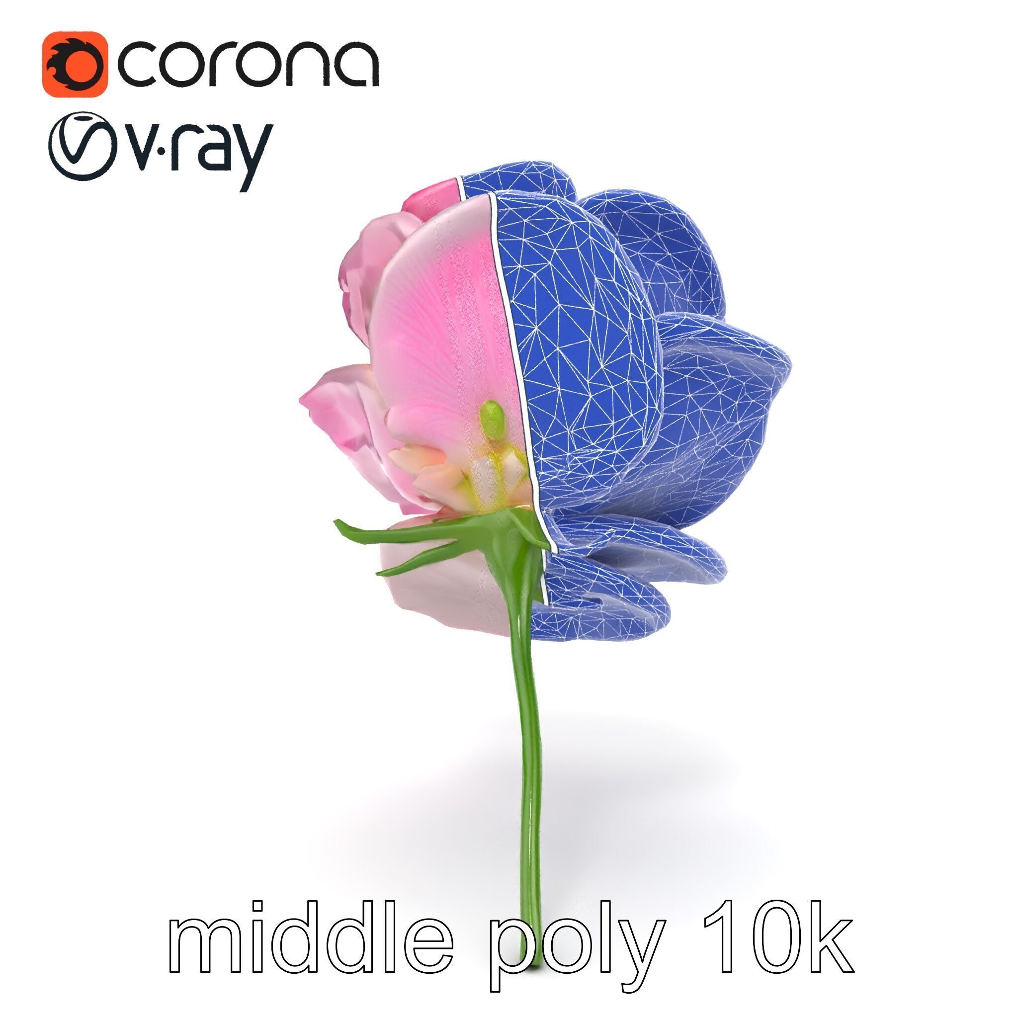 Rosa Odorata Tea Rose Large Flowers model pack Low-poly 3D model_29