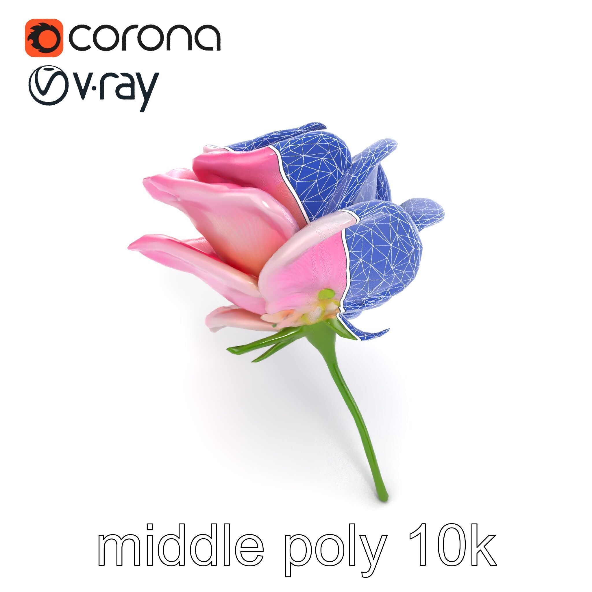 Rosa Odorata Tea Rose Large Flowers model pack Low-poly 3D model_20