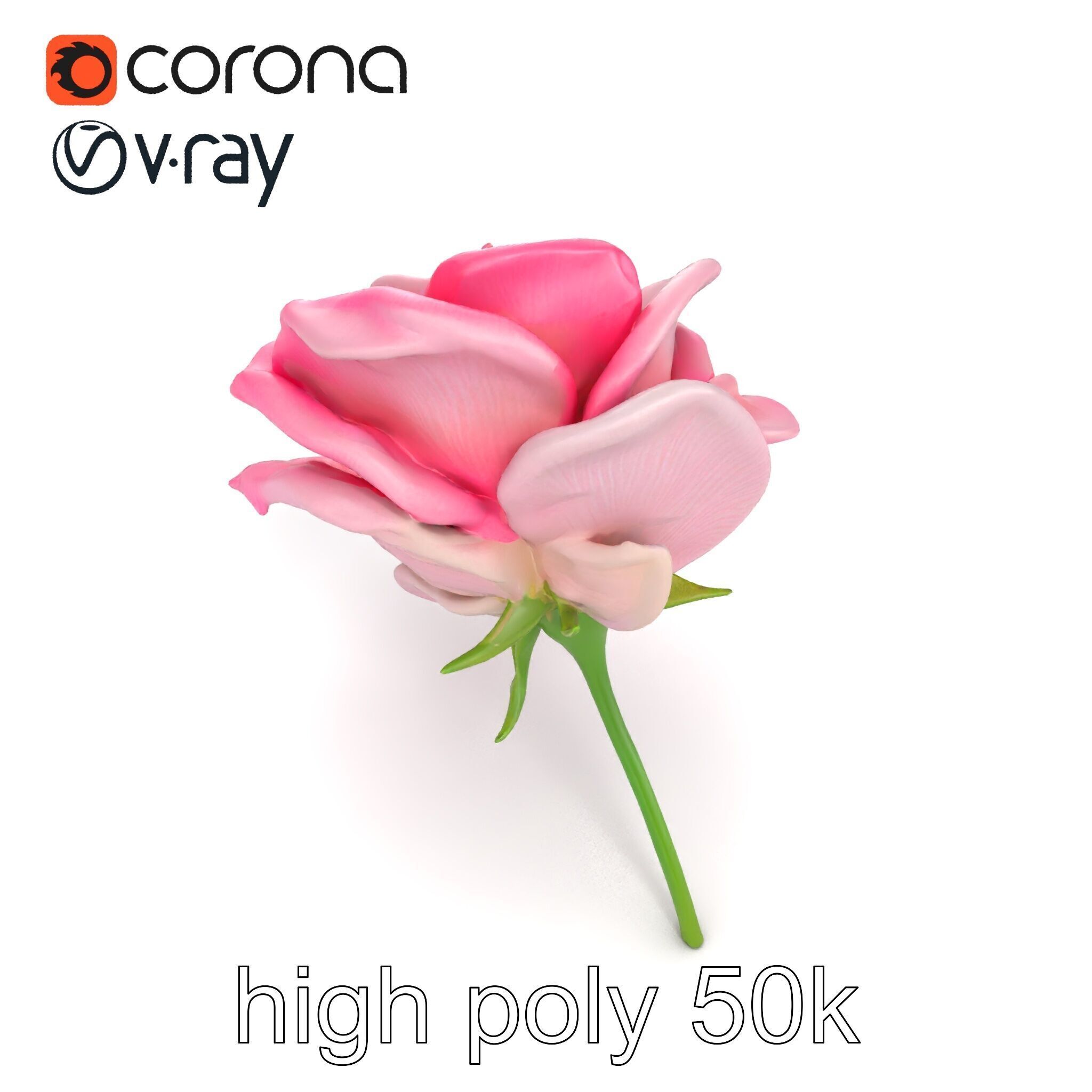 Rosa Odorata Tea Rose Large Flowers model pack Low-poly 3D model_14