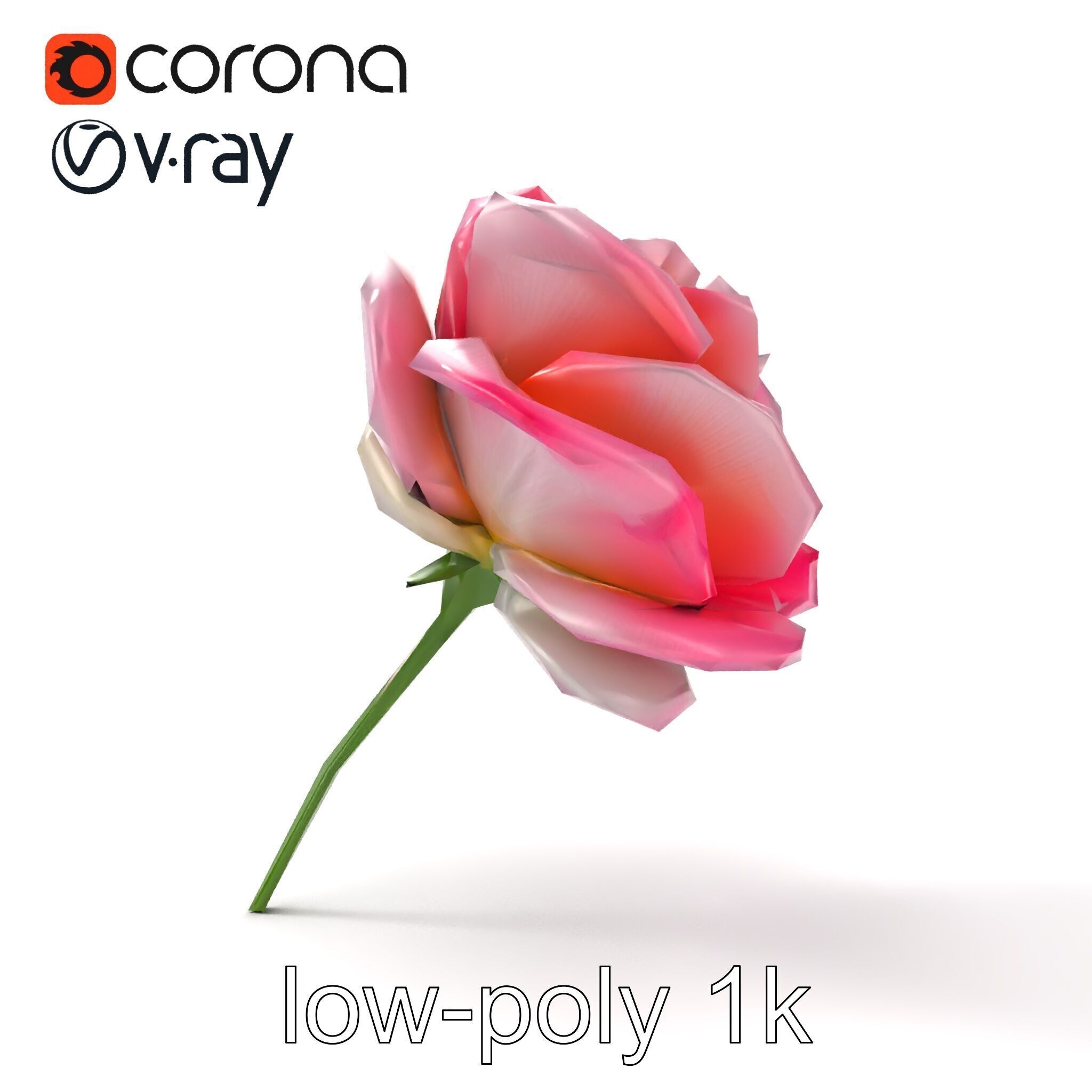 Rosa Odorata Tea Rose Large Flowers model pack Low-poly 3D model_22