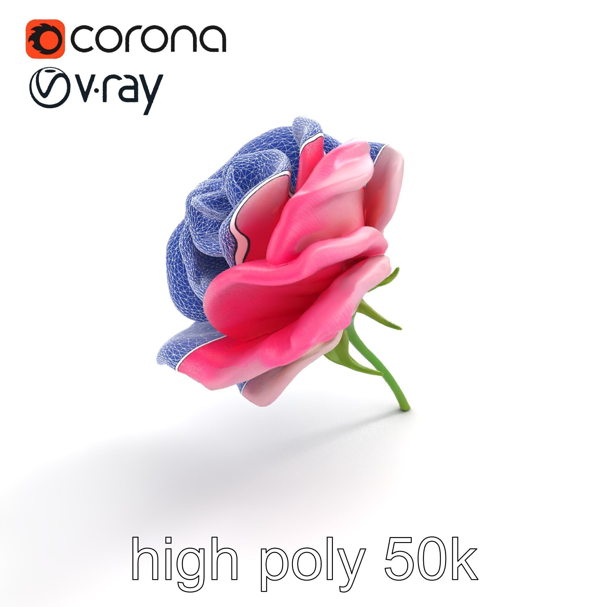 Rosa Odorata Tea Rose Large Flowers model pack Low-poly 3D model_17